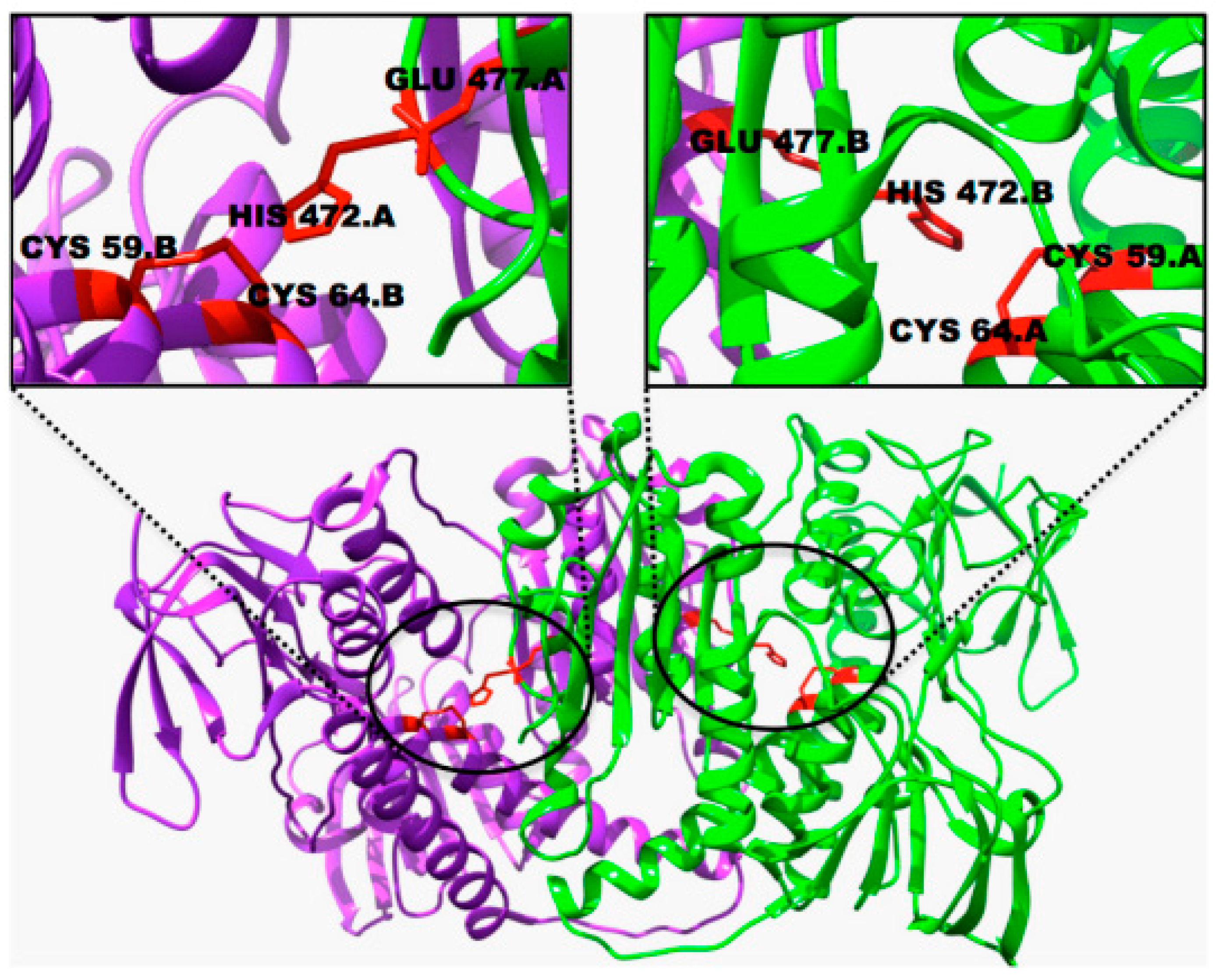Compounds 05 00014 g021