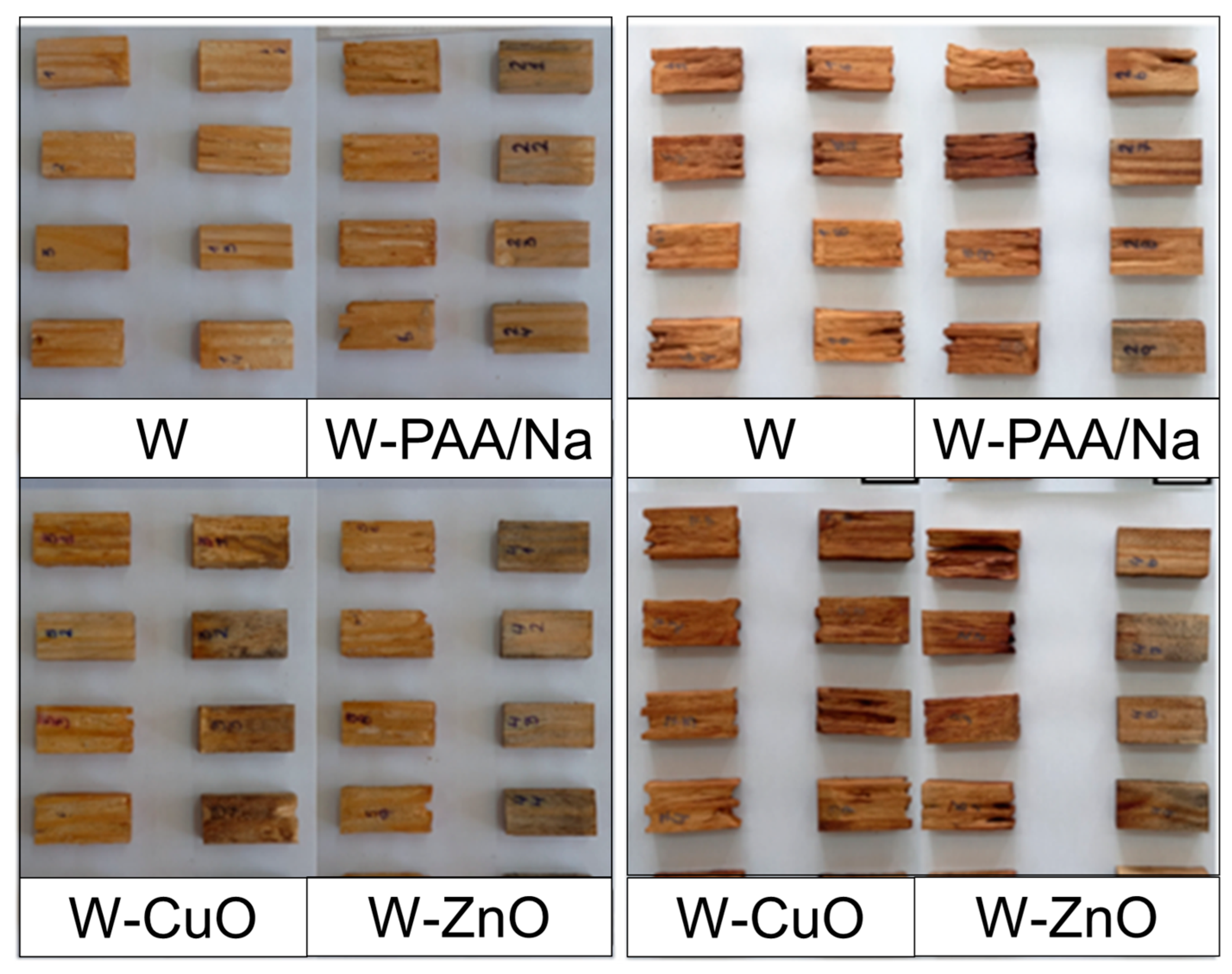 Compounds 05 00015 g010