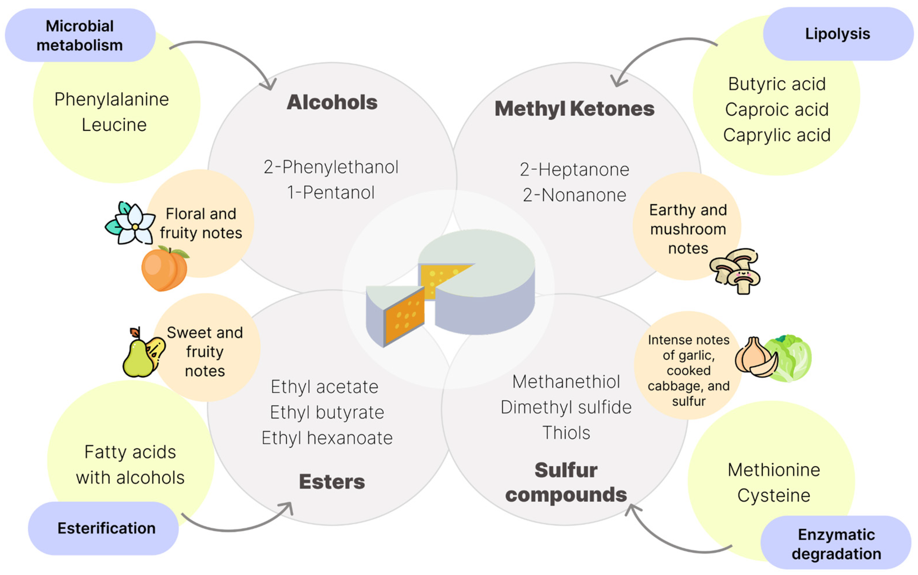 Compounds 05 00019 g002