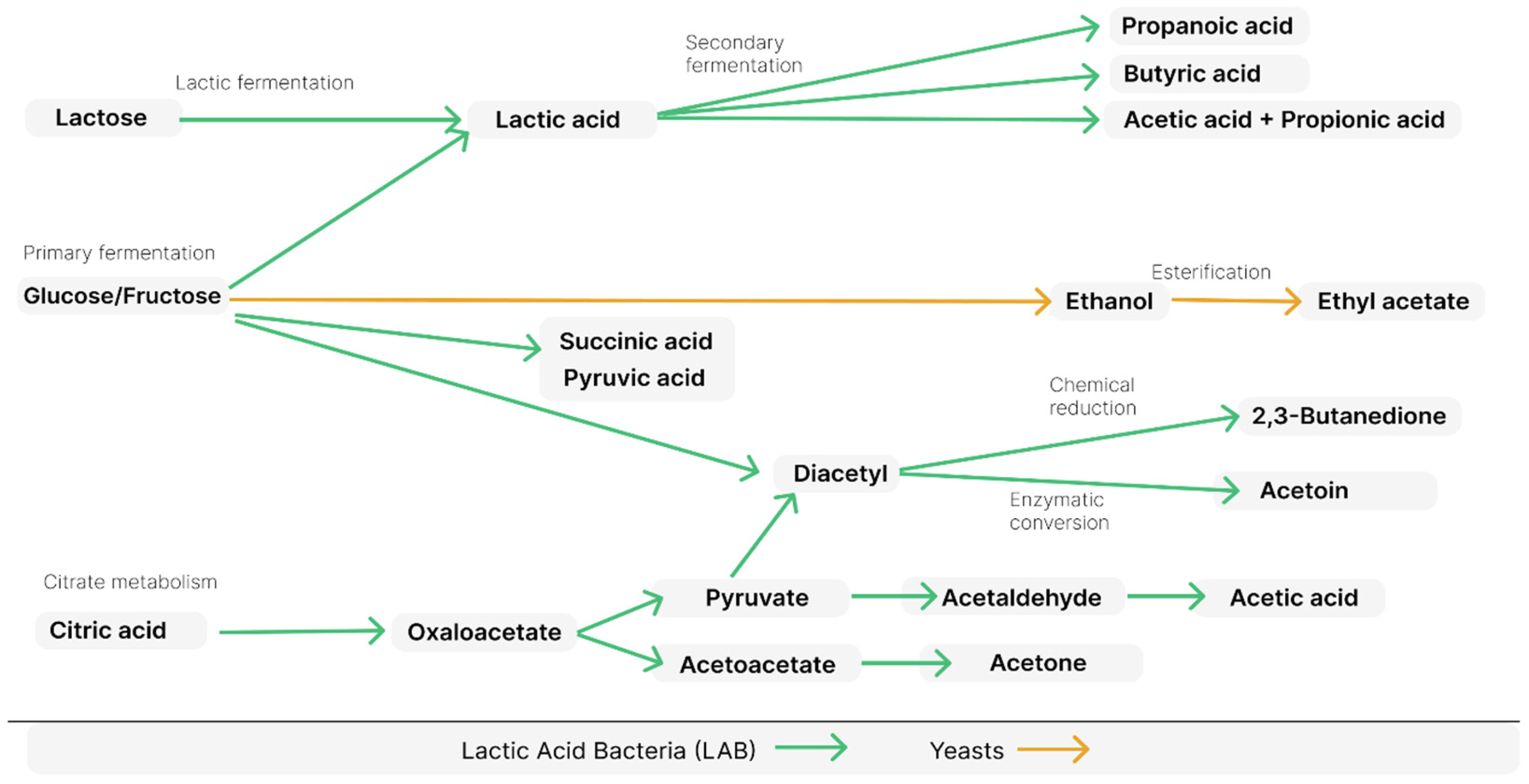Compounds 05 00019 g004