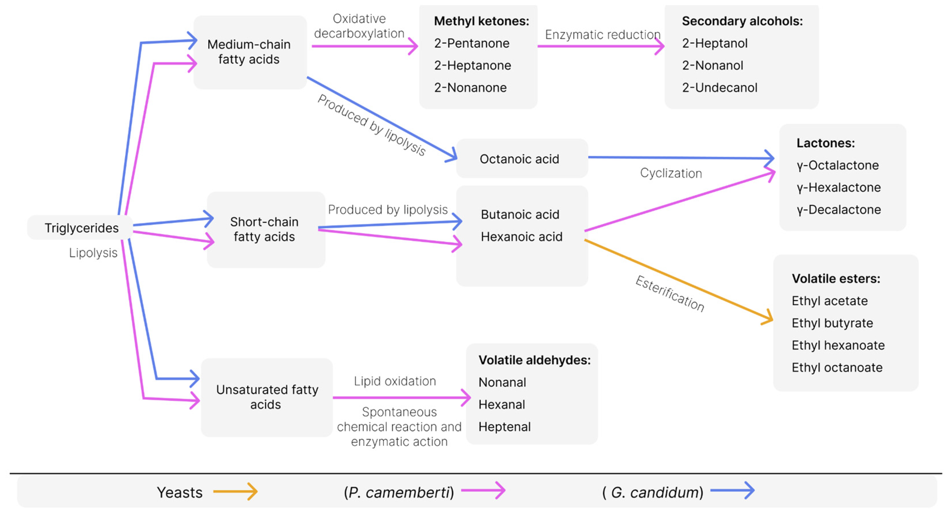 Compounds 05 00019 g005