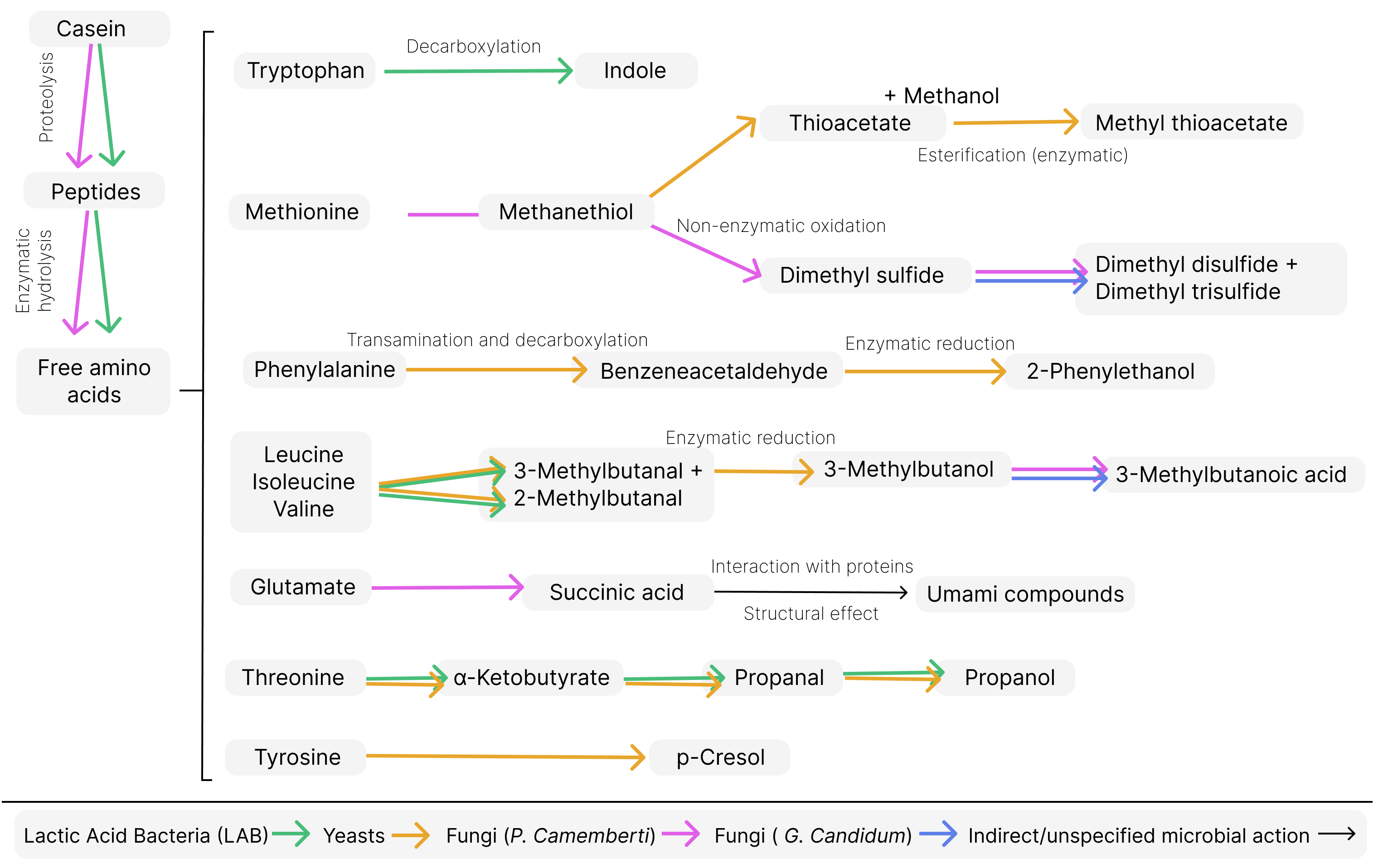 Compounds 05 00019 g007