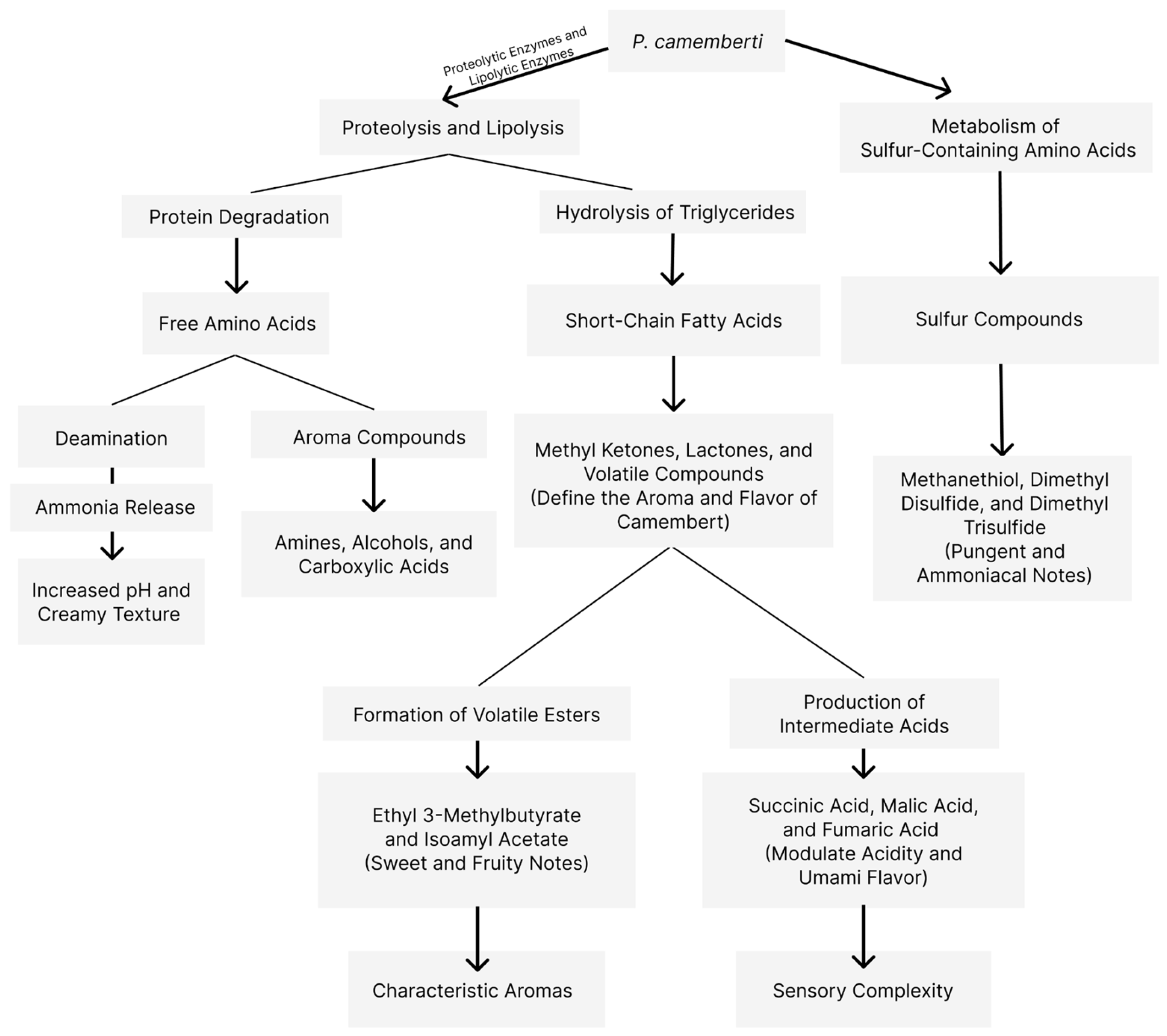 Compounds 05 00019 g008