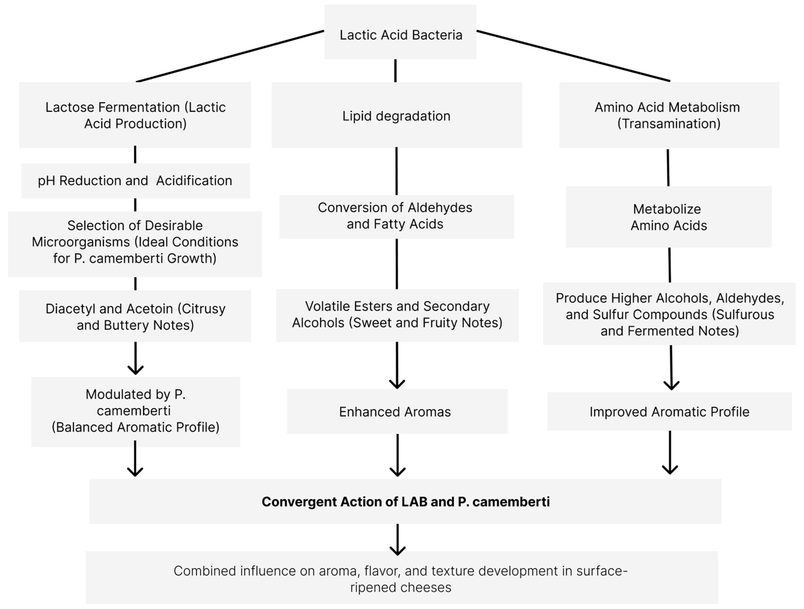 Compounds 05 00019 g009