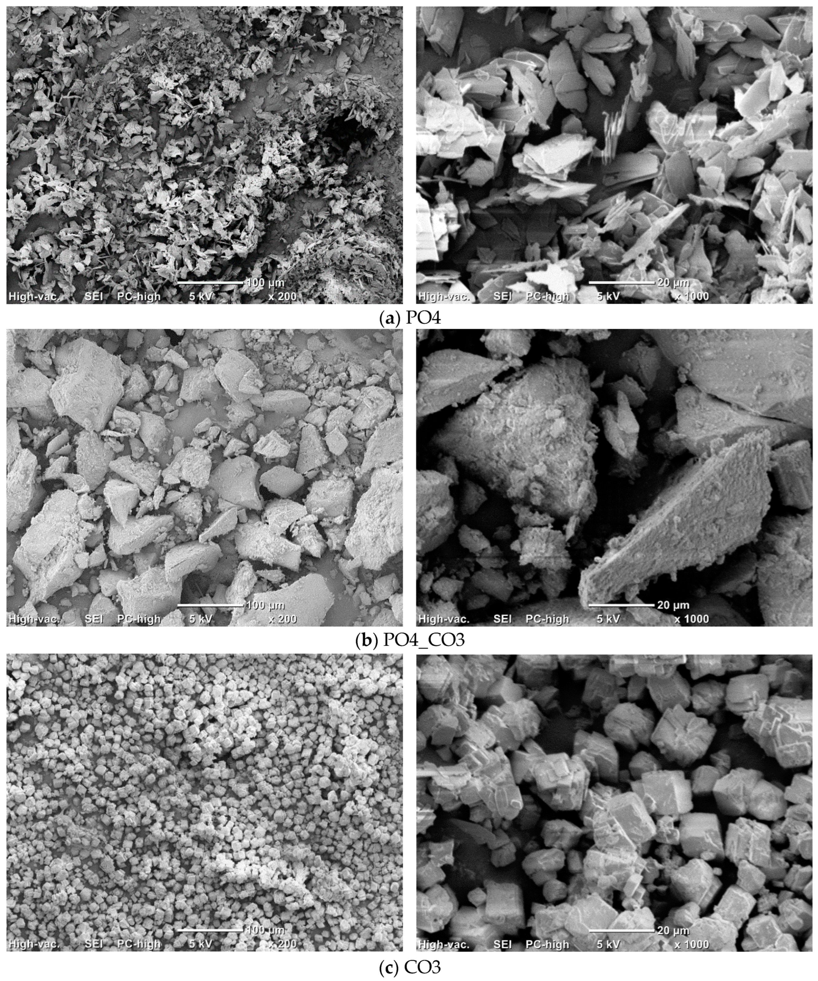 Compounds 05 00041 g004 Compounds 05 00041 g004