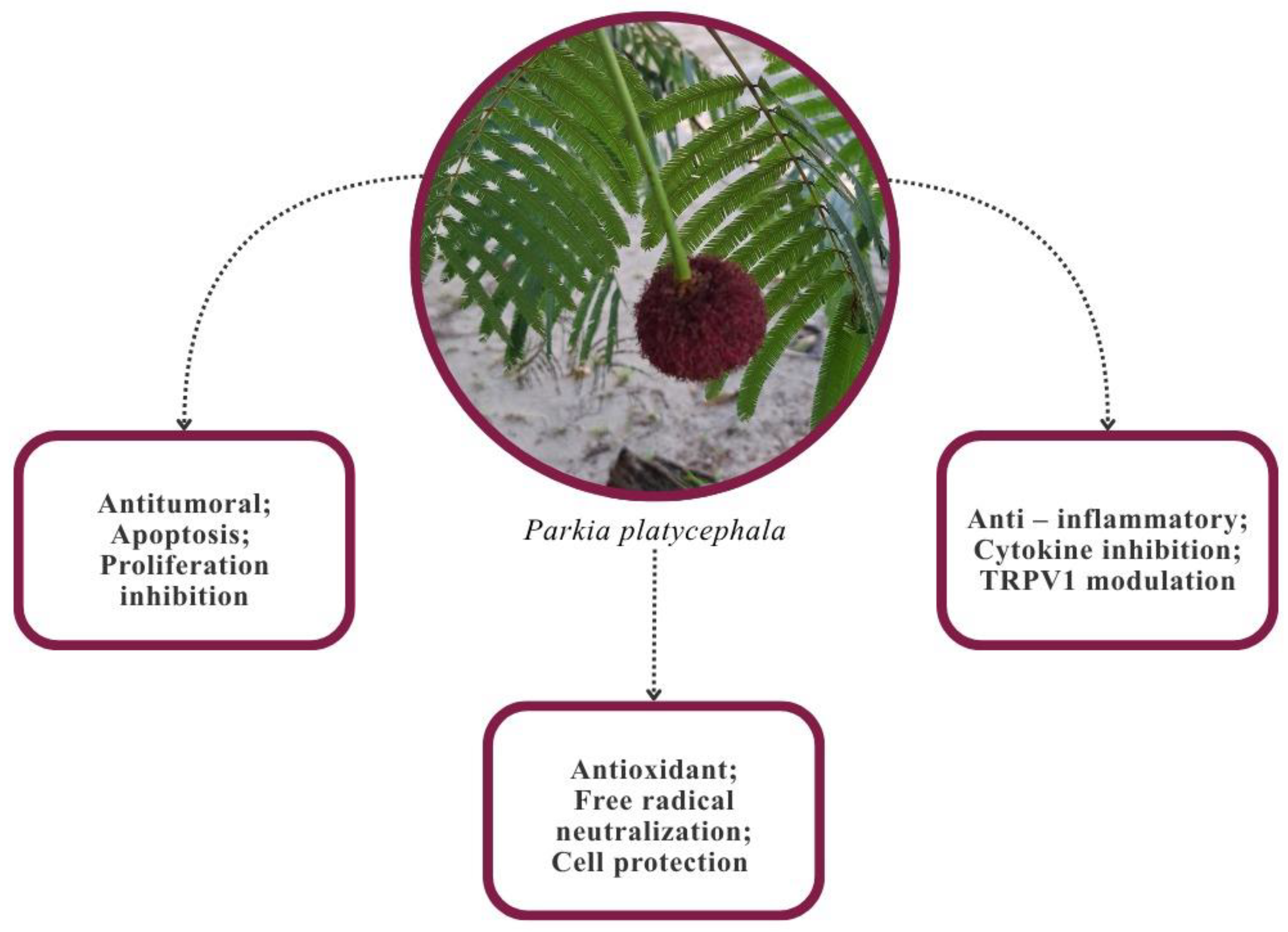 Compounds 05 00047 g001 Compounds 05 00047 g001