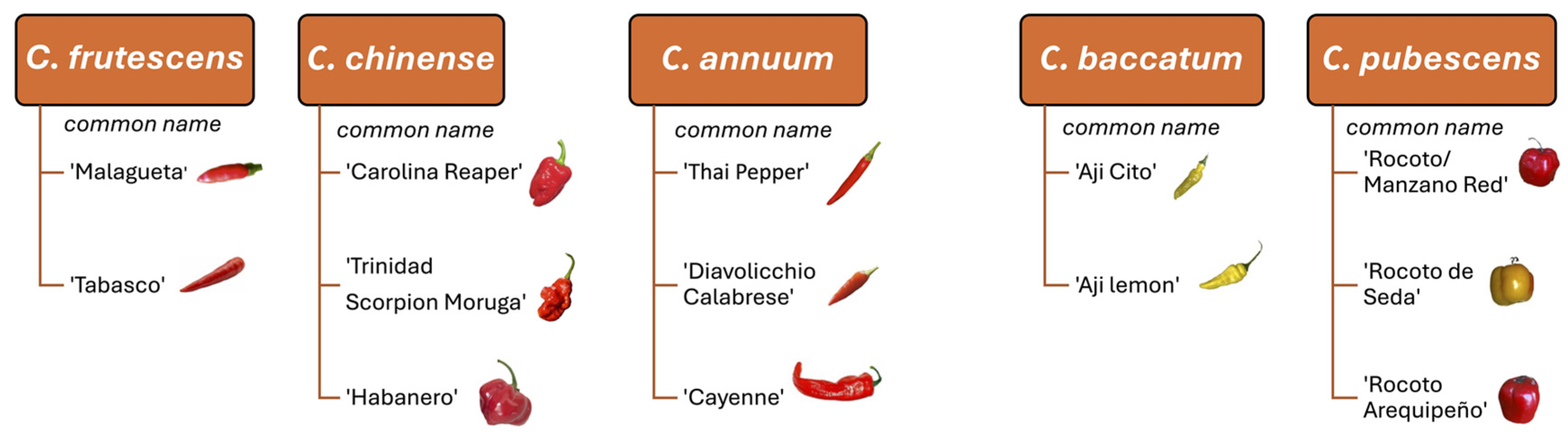 Compounds 05 00061 g004