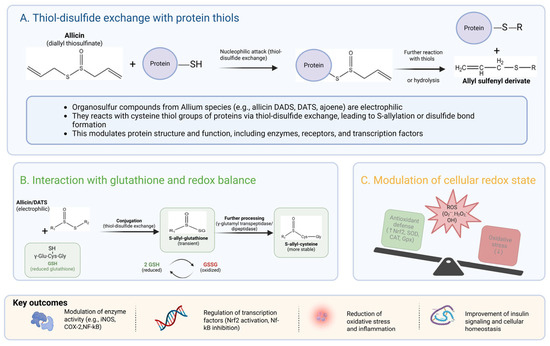 liposomal glutathione rash What are the many health benefits of glutathione?