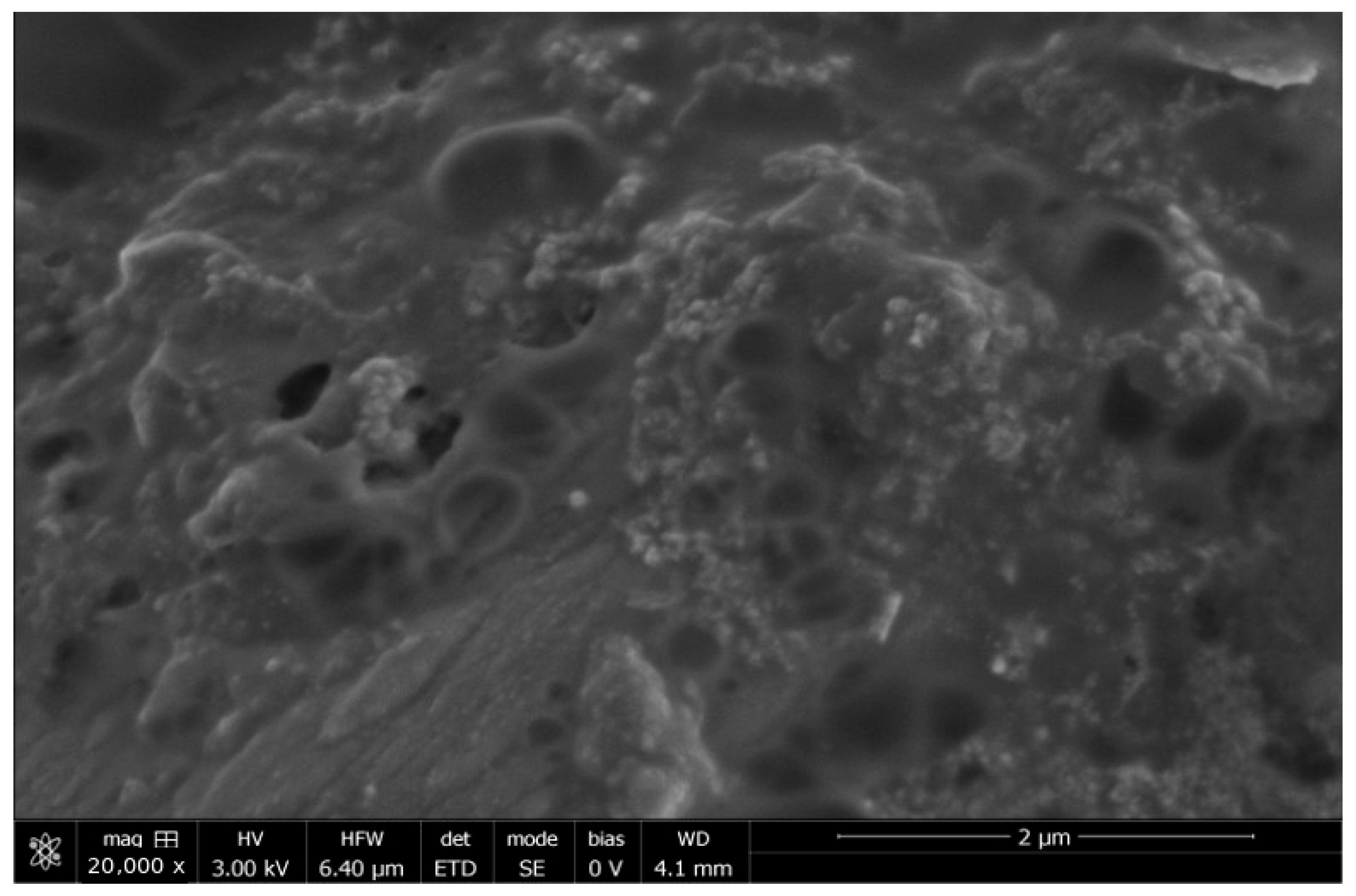 Compounds 06 00043 g006