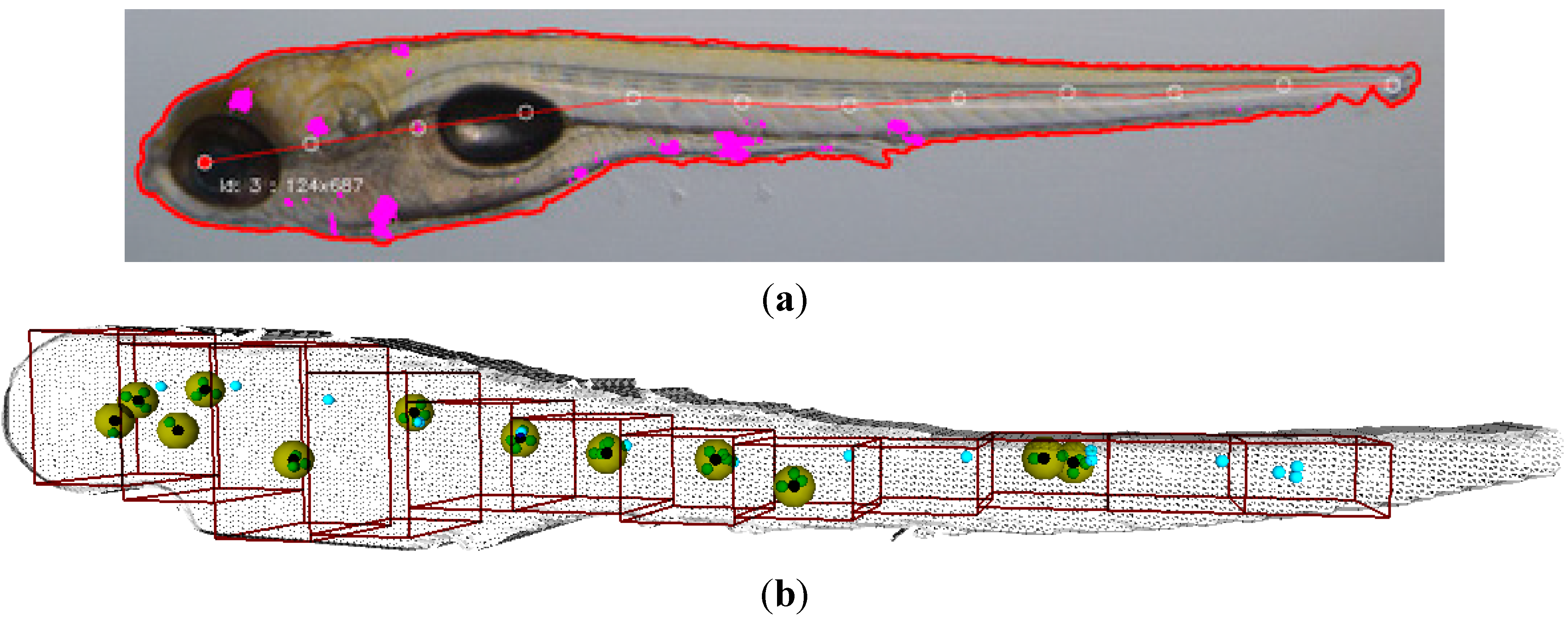Computation 03 00150 g008 1024