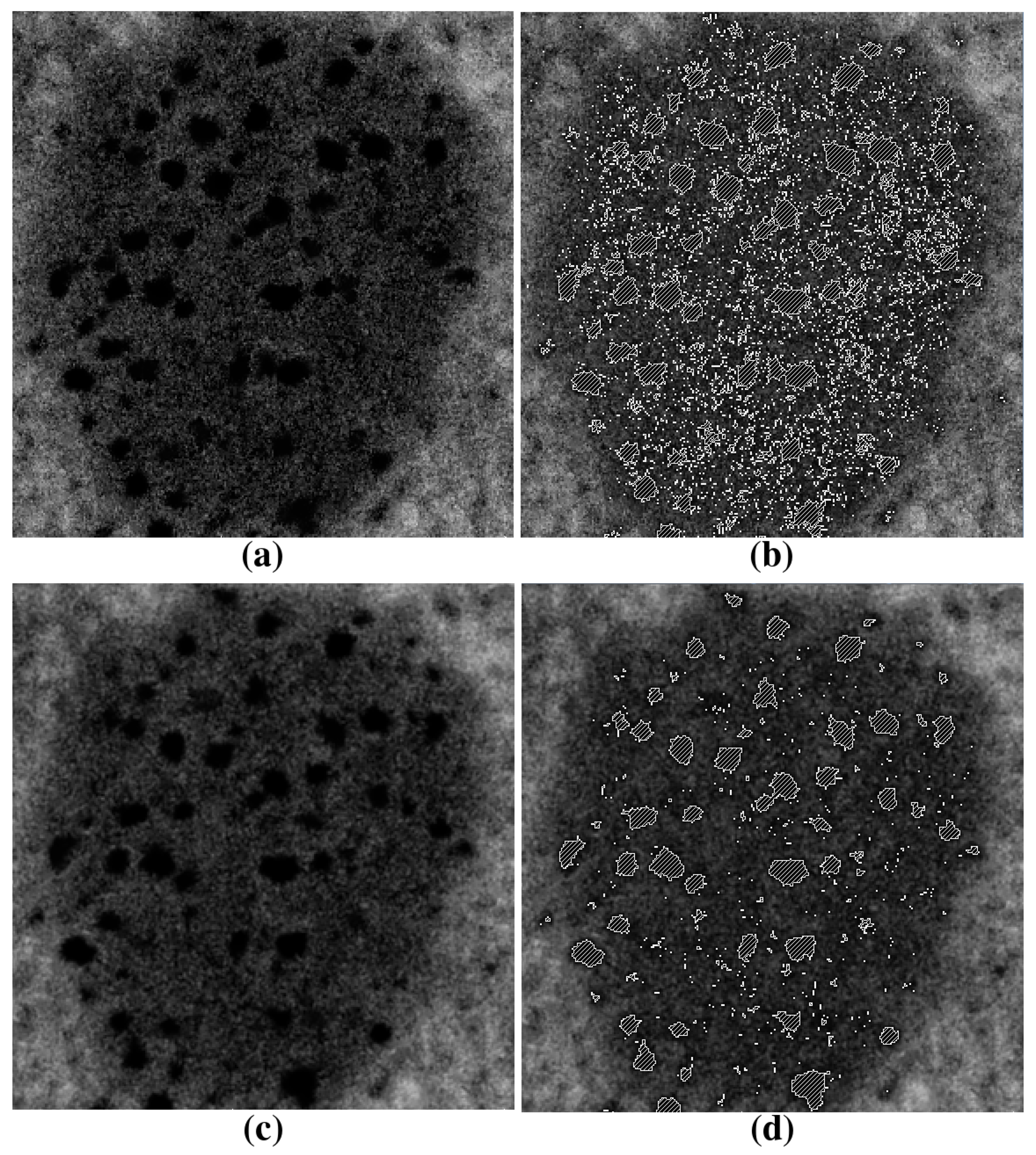 Computation 04 00035 g003 1024