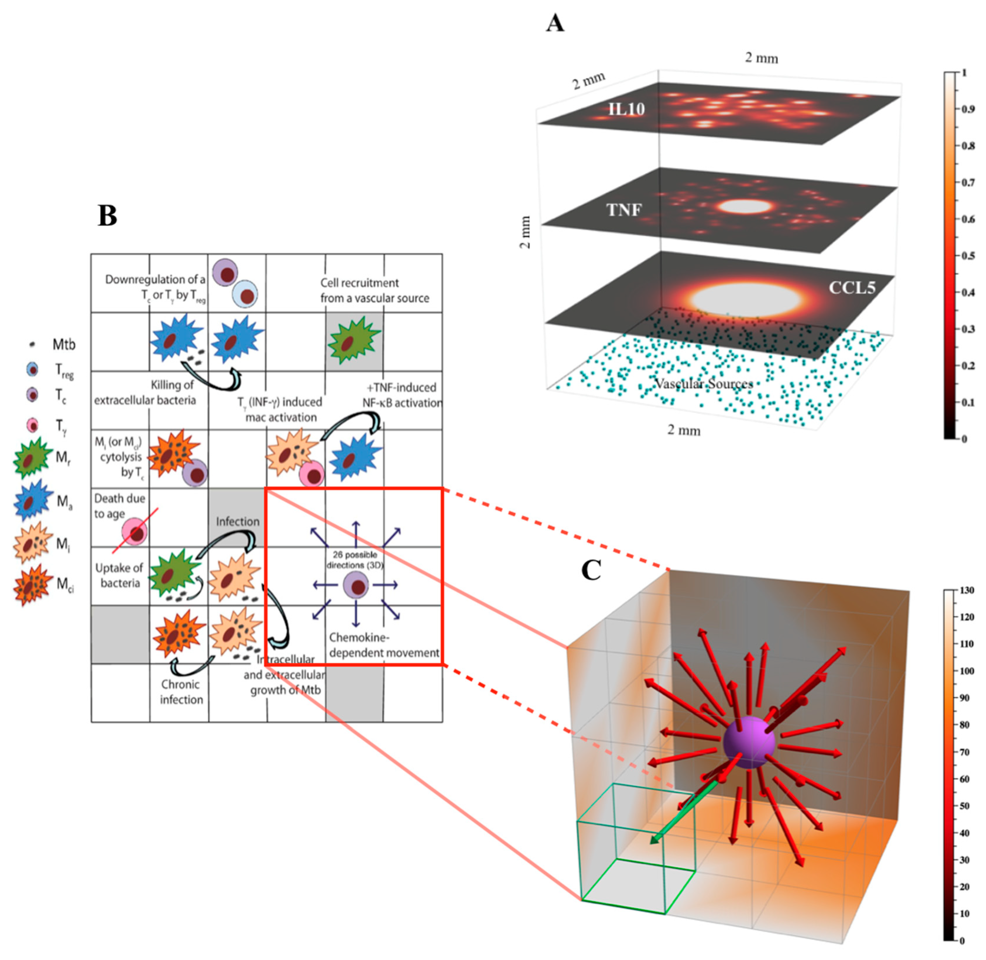 Computation 06 00058 g002 Computation 06 00058 g002