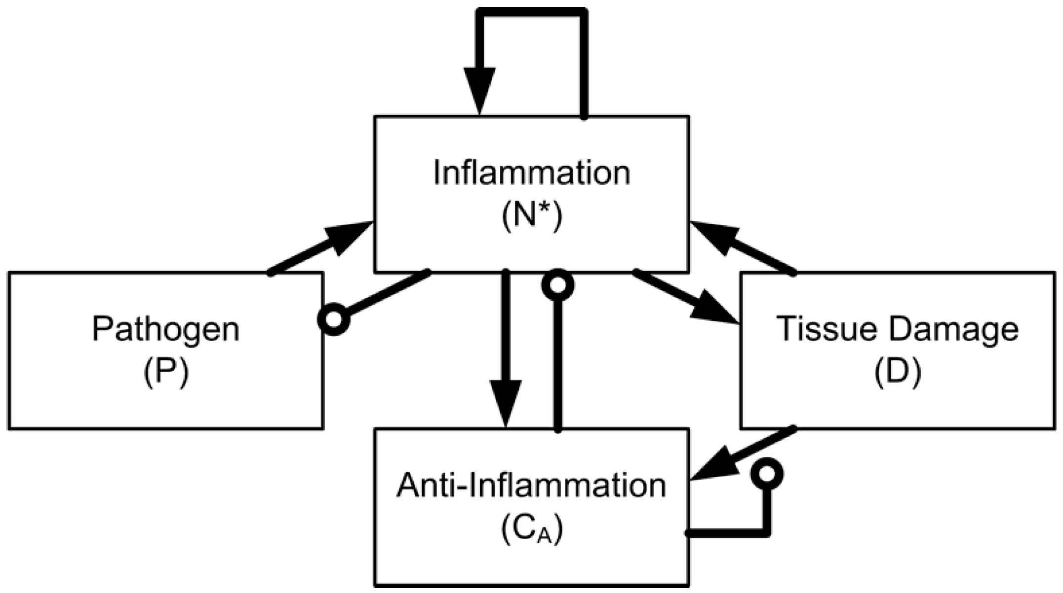 Computation 07 00003 g001