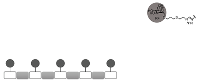 Computation 07 00046 i003