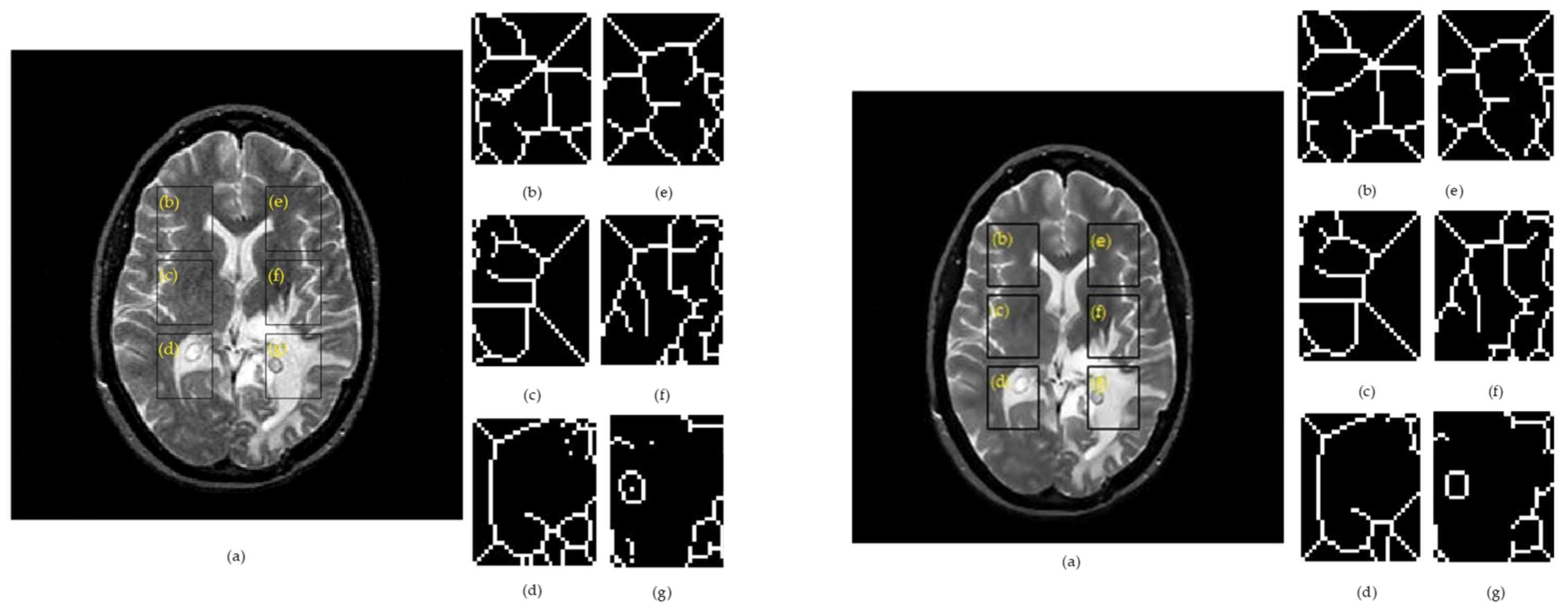 Computation 08 00031 g003