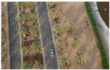 Computation 09 00012 i003 Computation 09 00012 i003