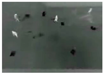 Computation 09 00012 i029 Computation 09 00012 i029