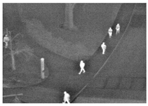 Computation 09 00012 i032 Computation 09 00012 i032