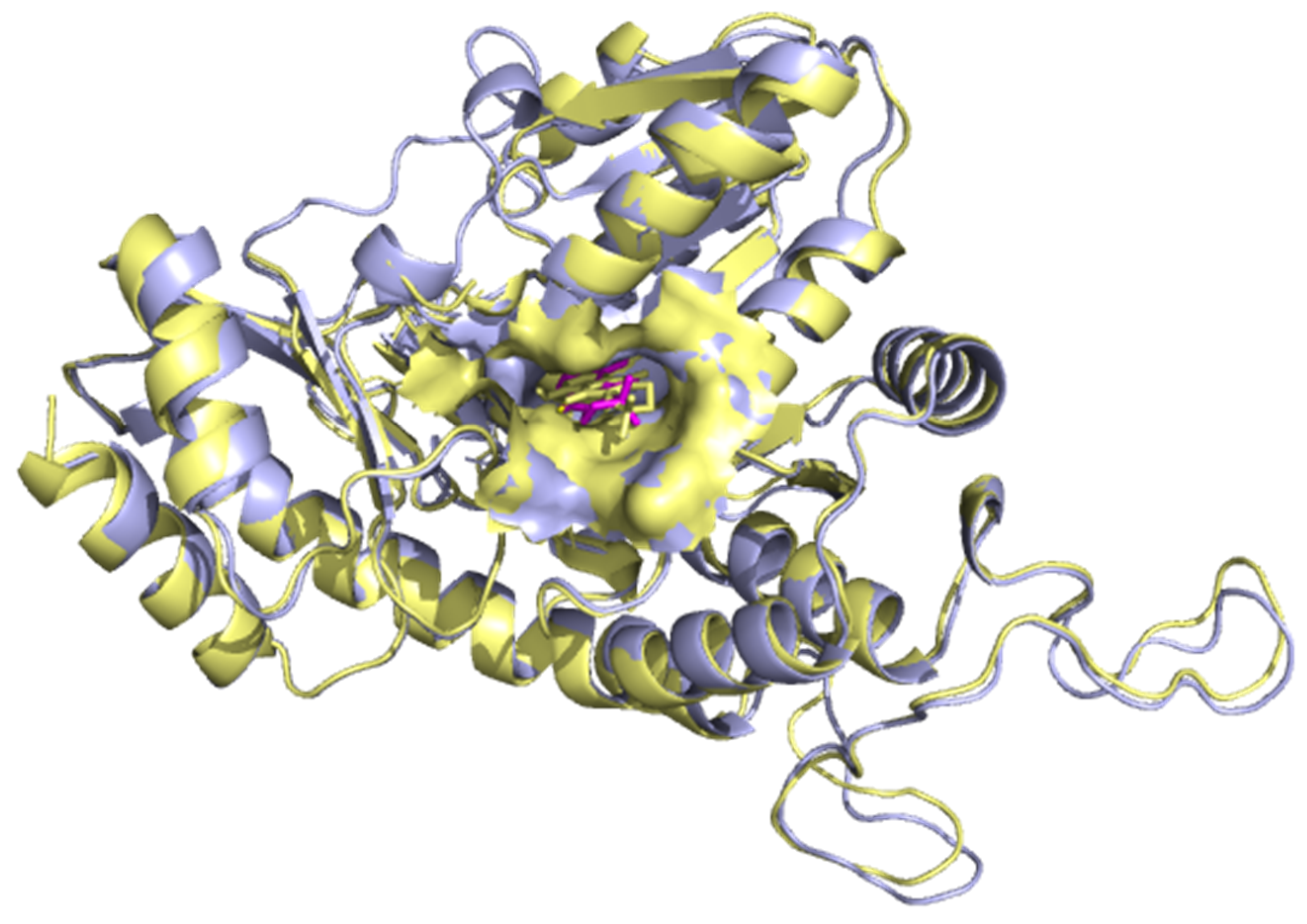 Computation Free Full Text Pharmacophore Guided Identification Of Natural Products As Potential Inhibitors Of Mycobacterium Ulcerans Cystathionine G Synthase Metb Html