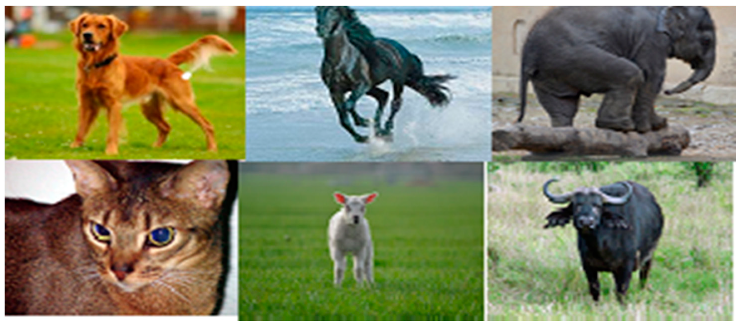 Computation 09 00035 g004