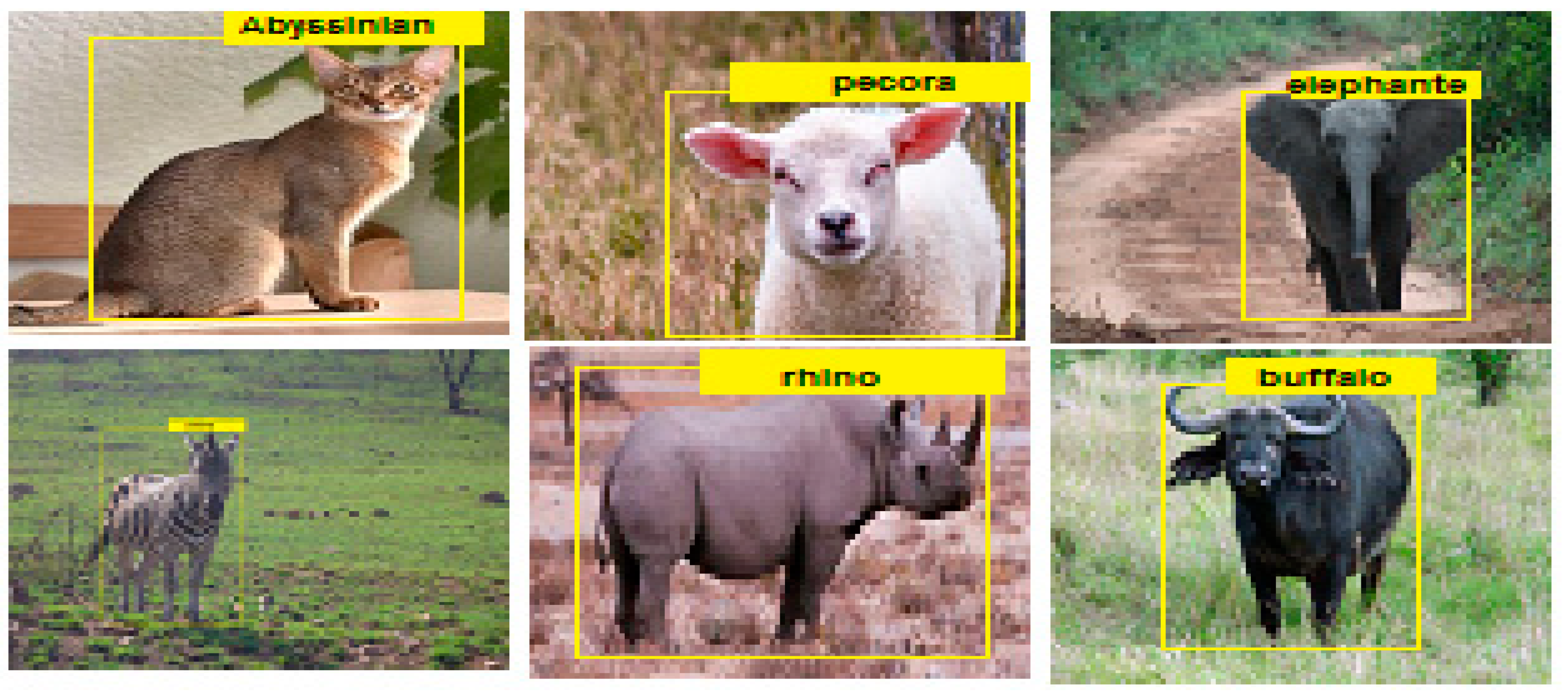 Computation 09 00035 g013