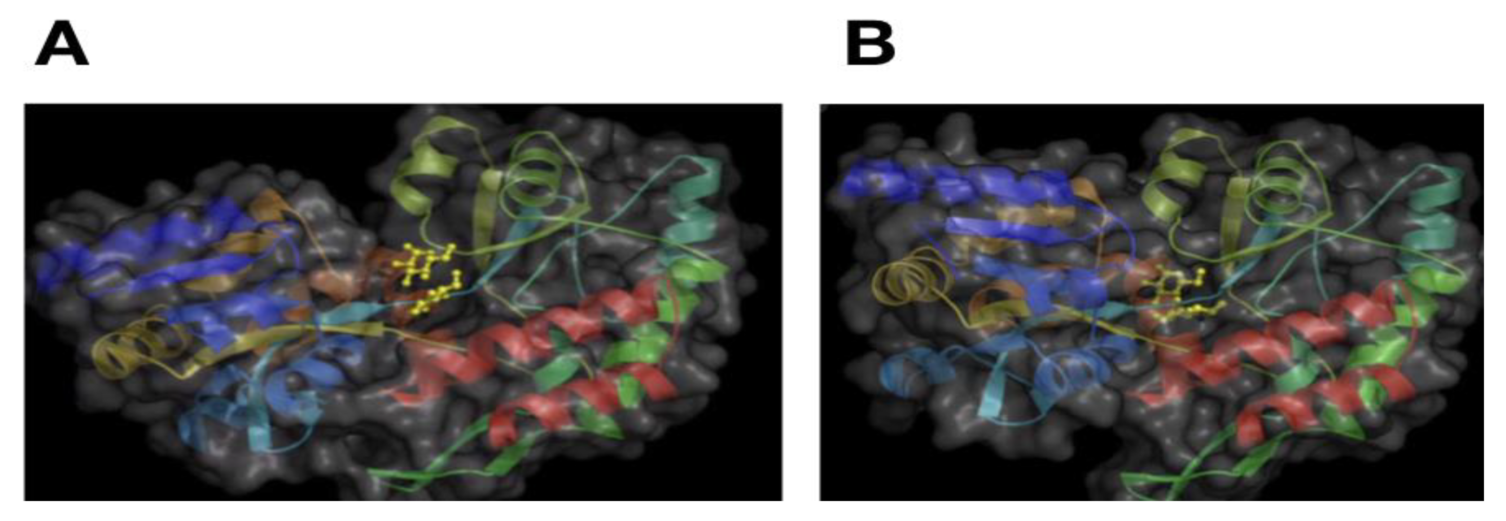 Computation 09 00039 g002