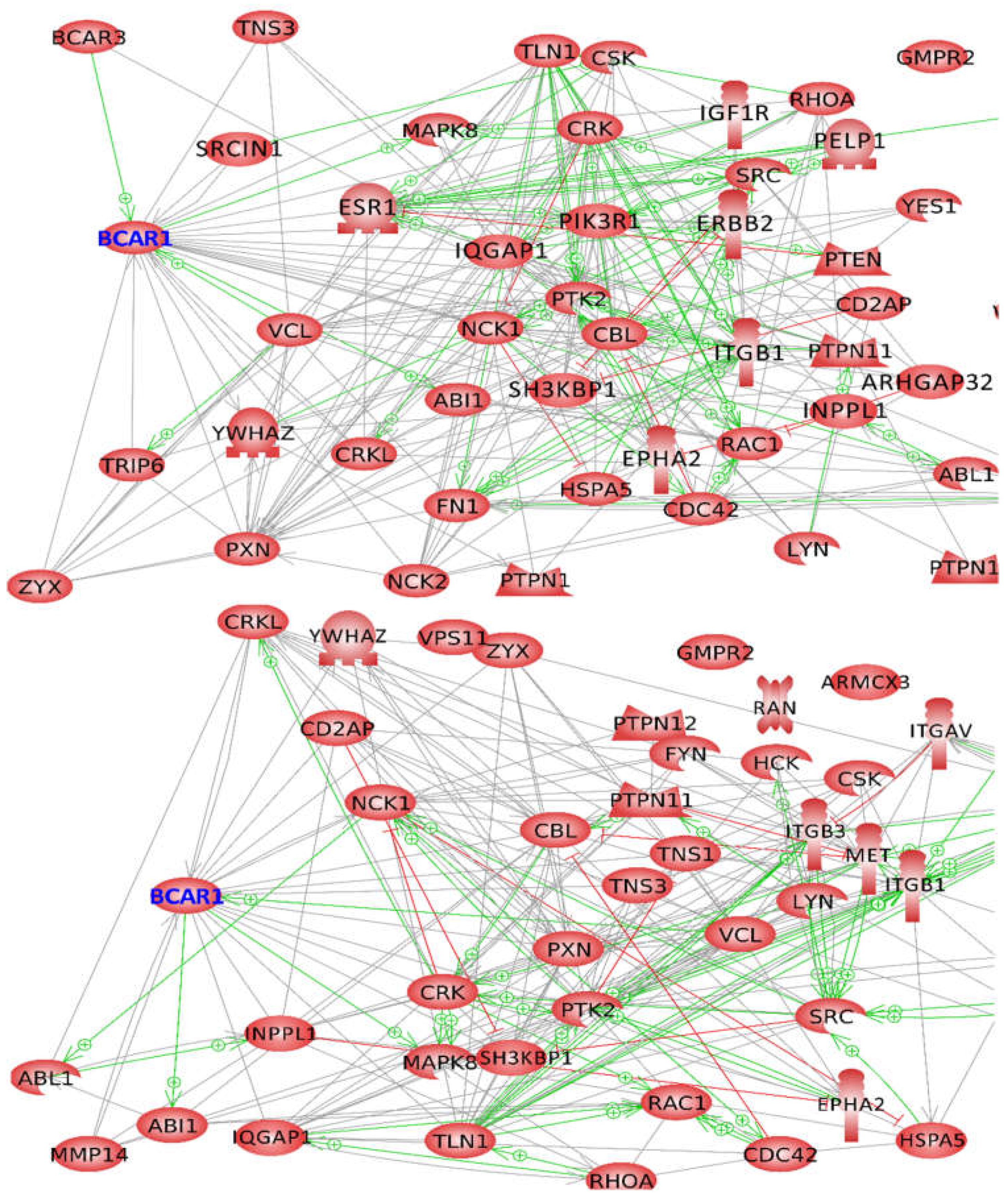 Computation | Free Full-Text | Interaction Network Provides Clues 