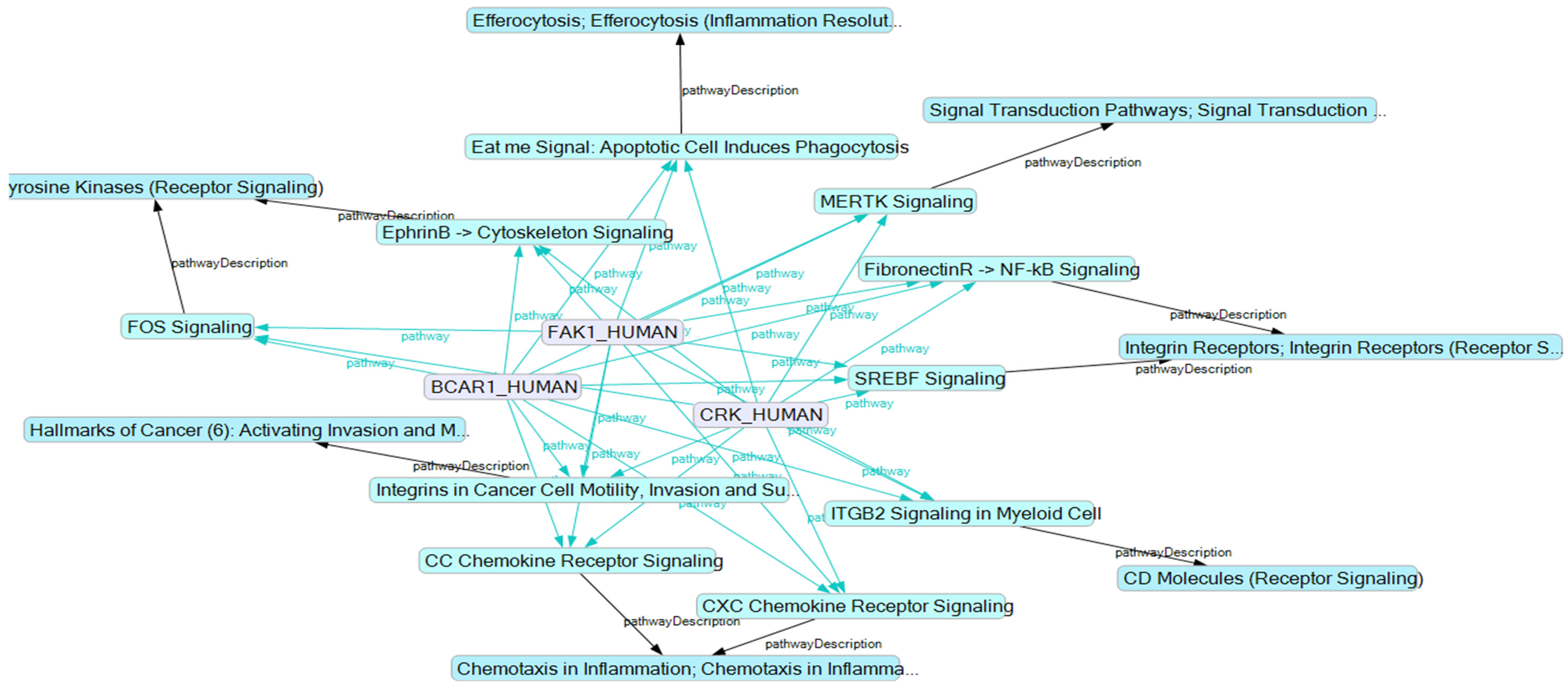 Computation 09 00081 g006 Computation 09 00081 g006
