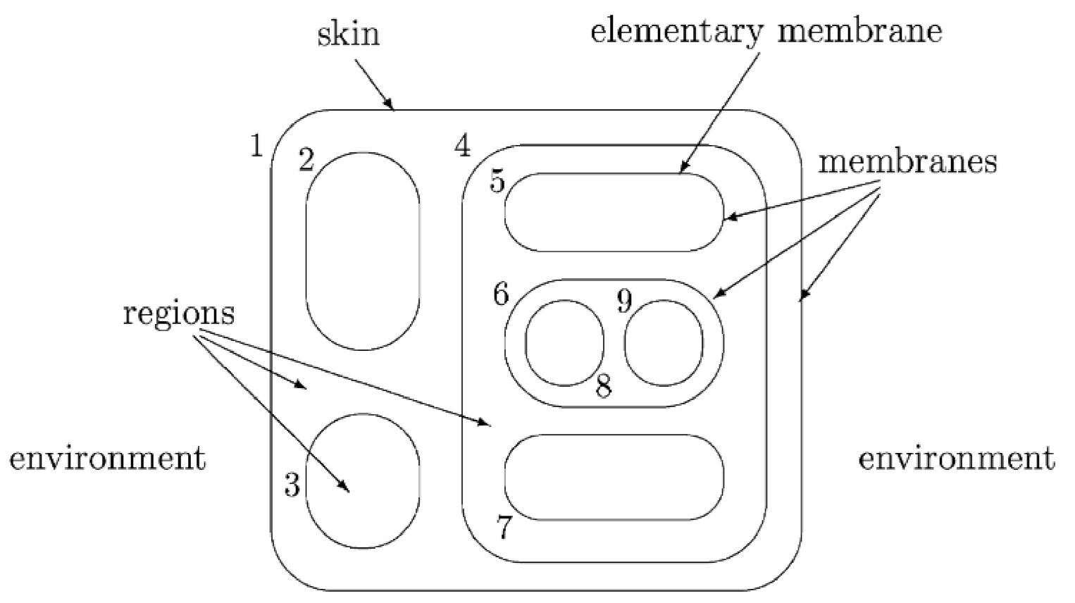 Computation 09 00102 g002