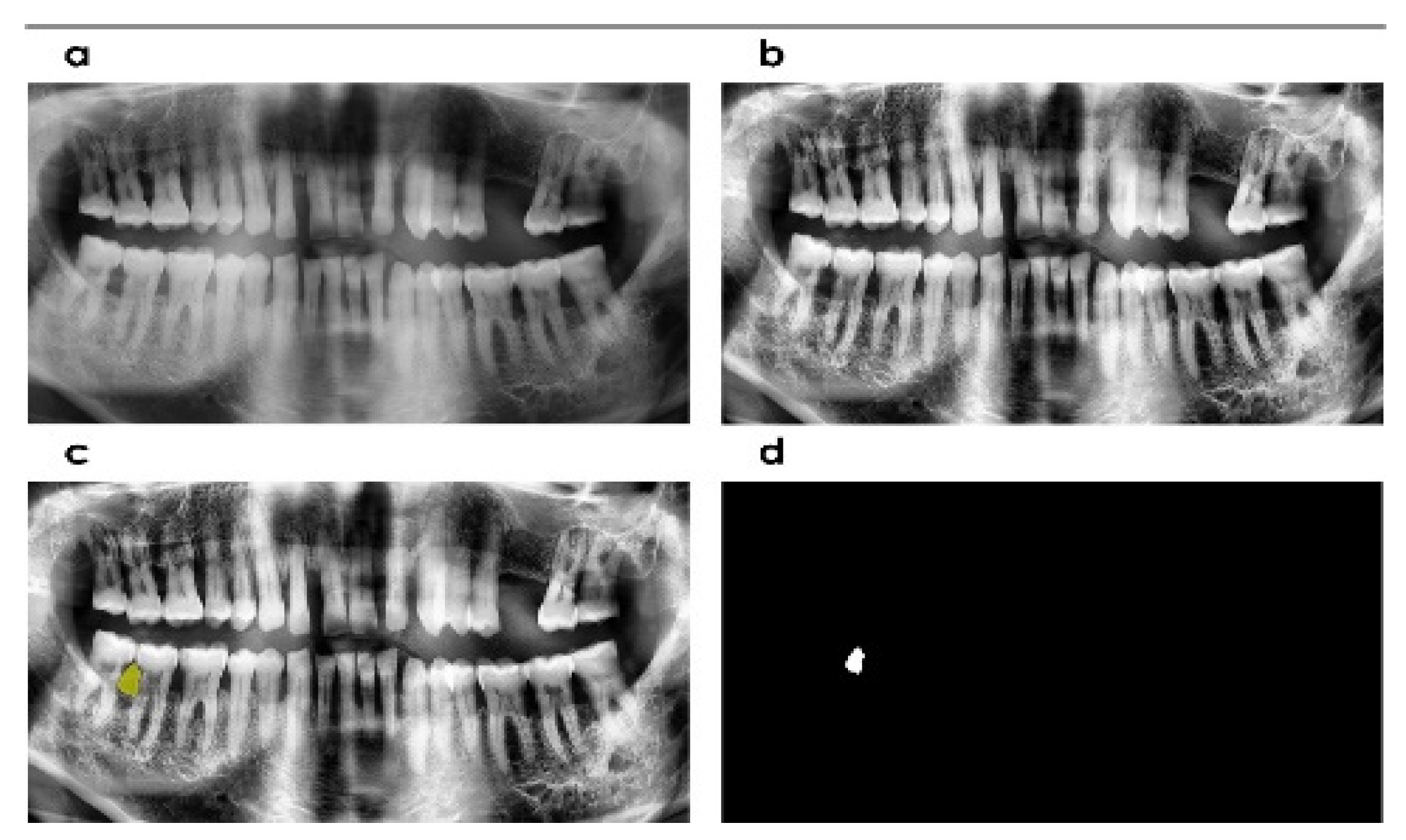 Computation 10 00008 g004