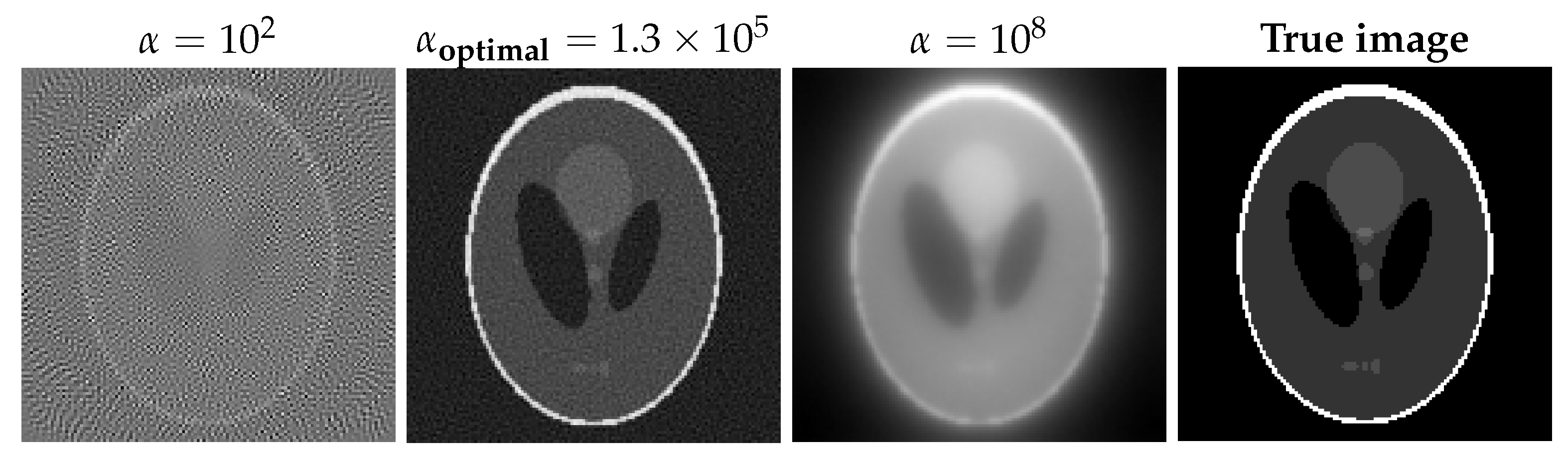 Computation 10 00038 g012