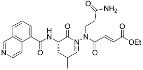 Computation 10 00069 i004