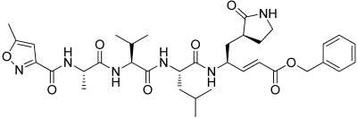 Computation 10 00069 i006