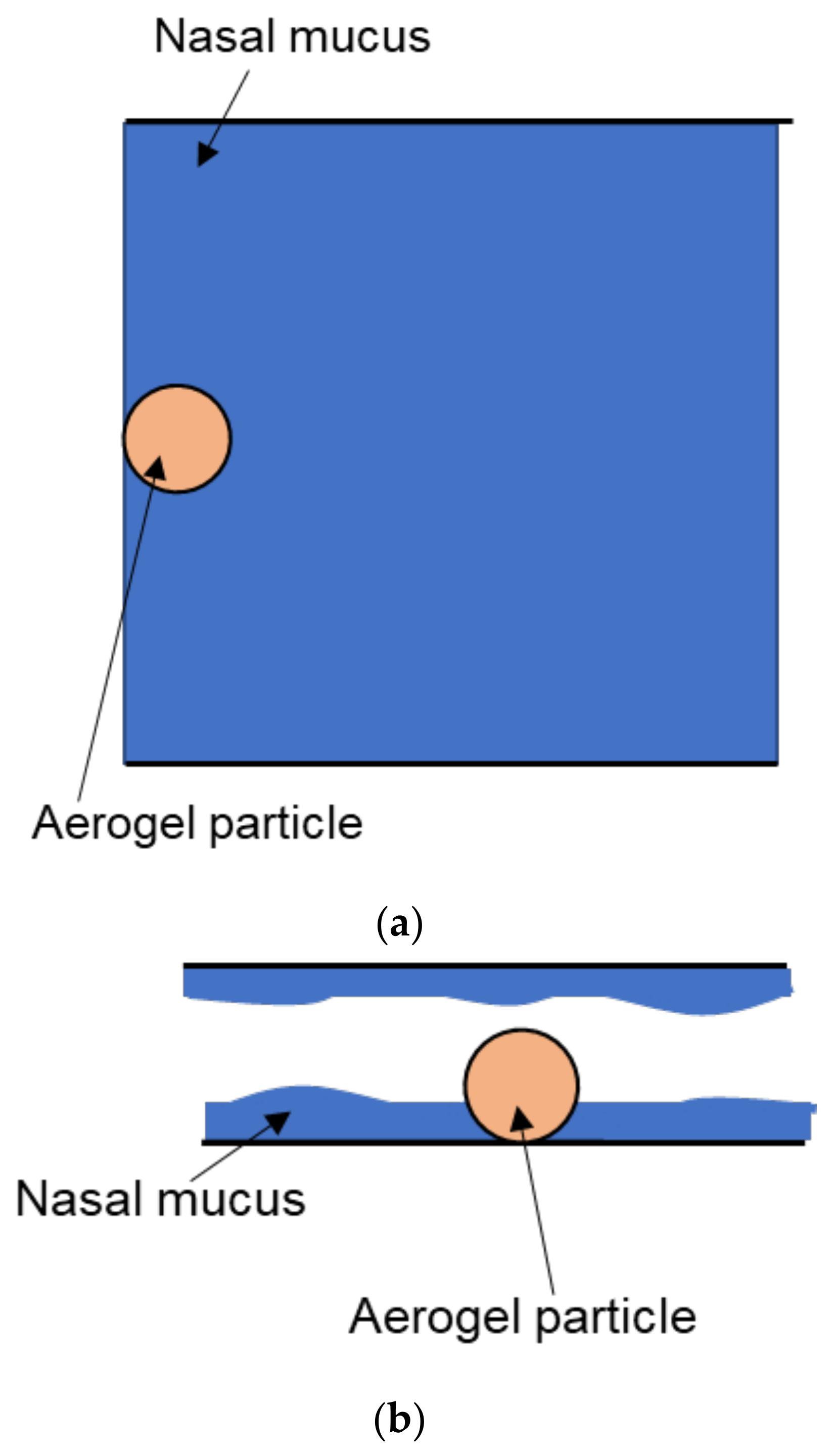 Computation 10 00139 g011