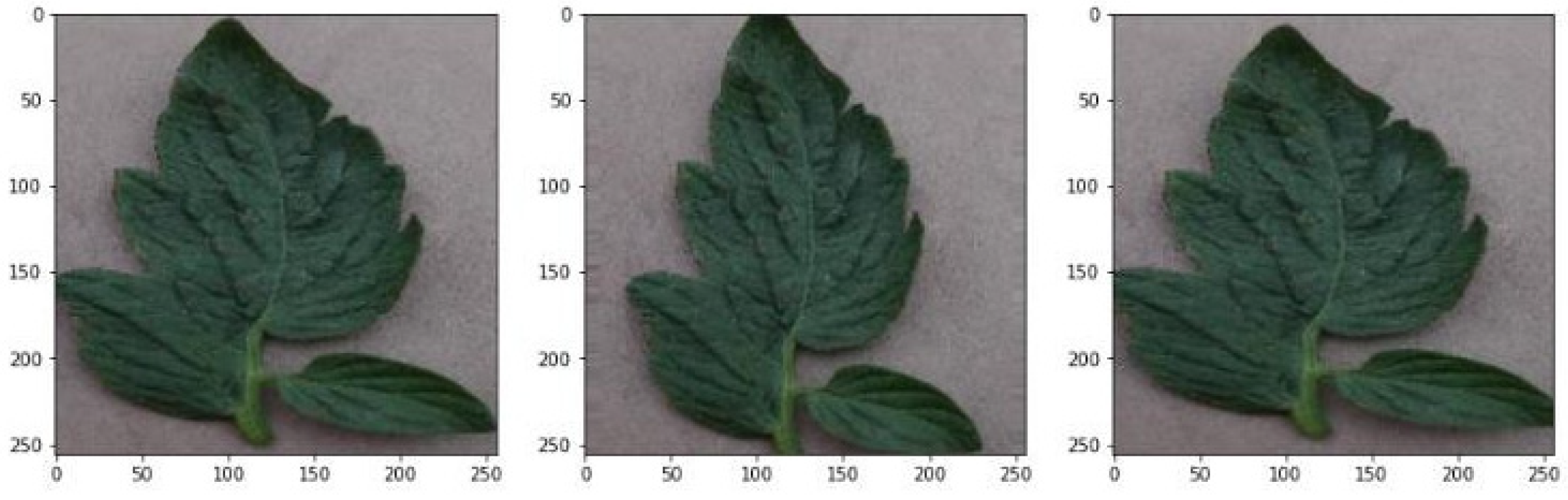 Mobile Application for Tomato Plant Leaf Disease Detection Using a ...