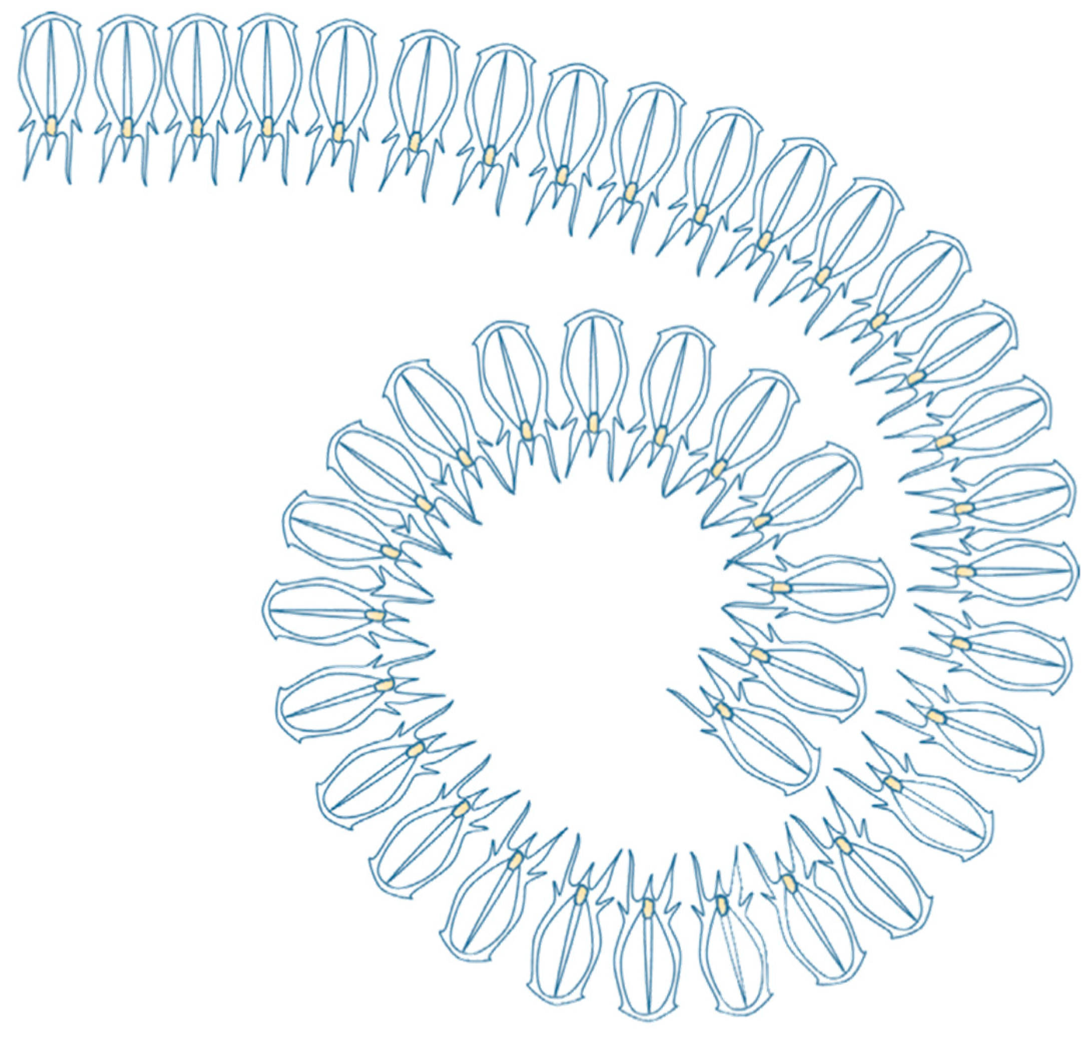 Computation 11 00056 g002 Computation 11 00056 g002