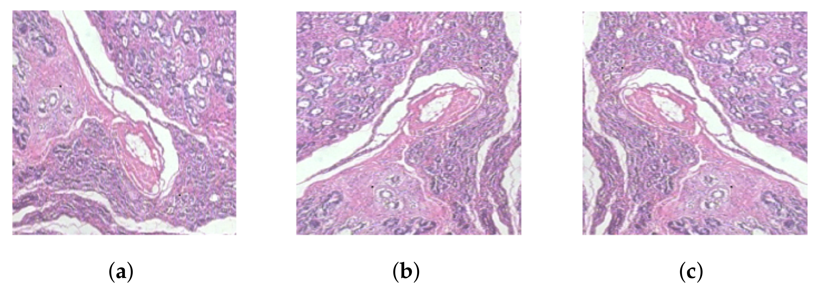 Computation 11 00059 g002