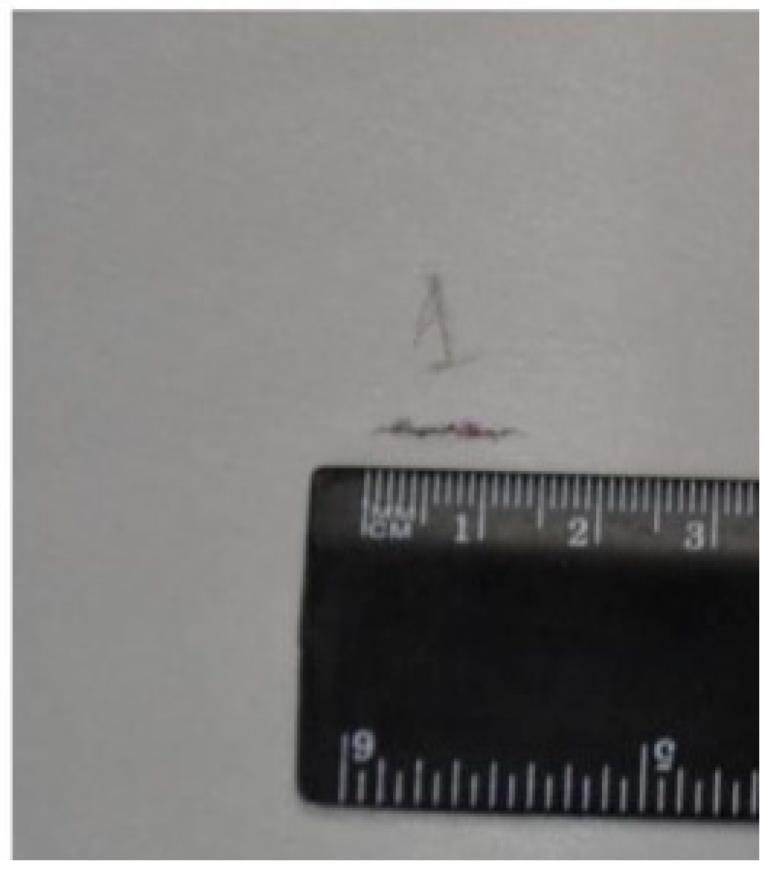 Computation 11 00060 g005