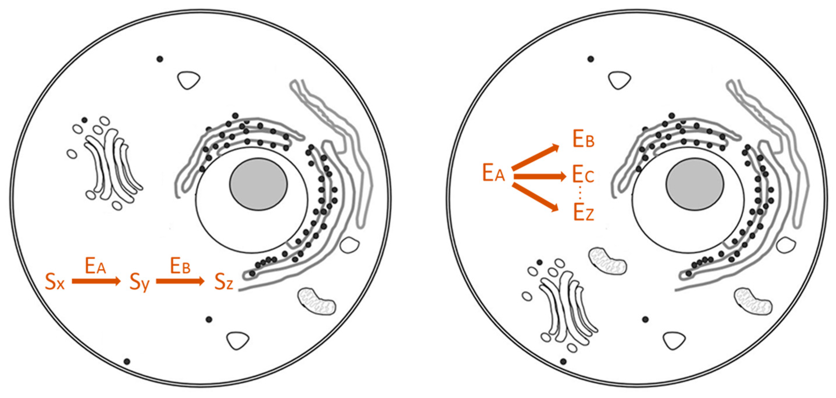 Computation 11 00107 g002