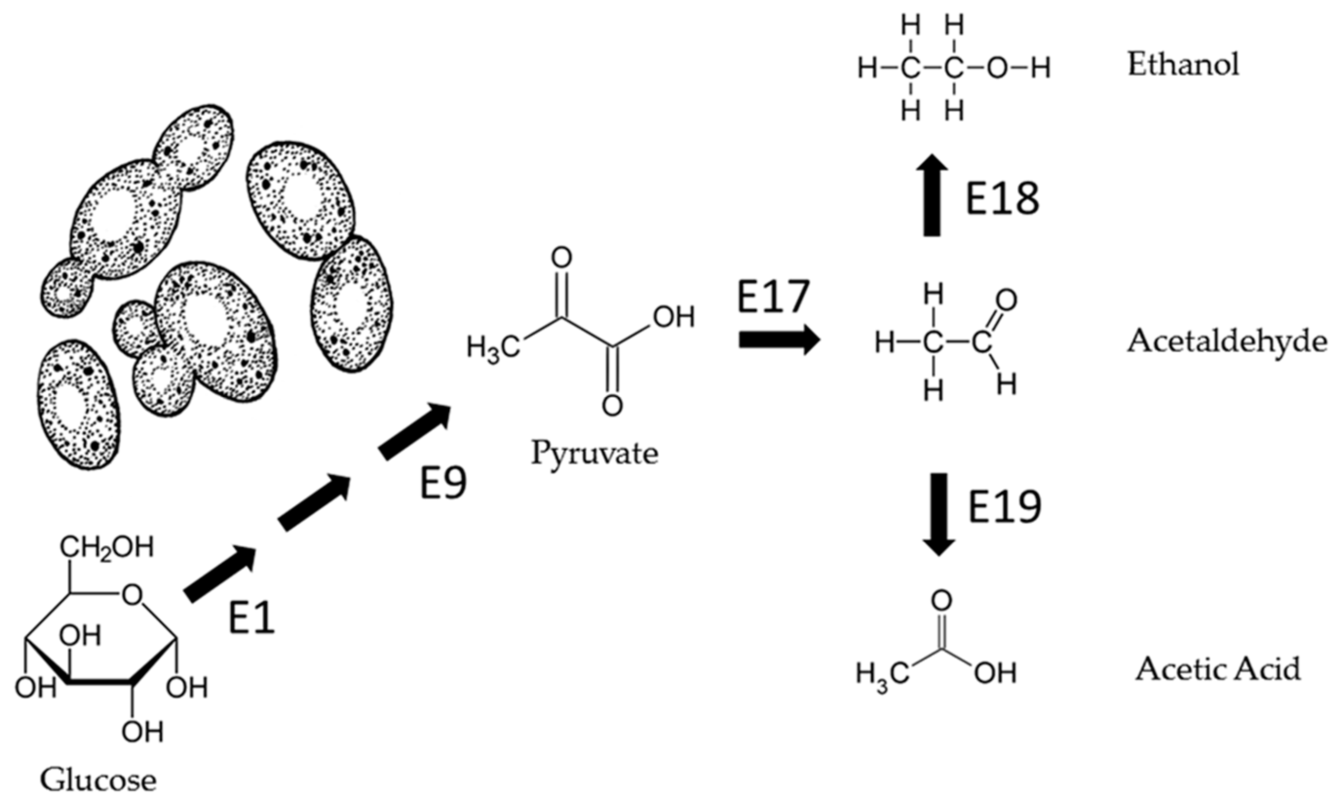 Computation 11 00107 g009