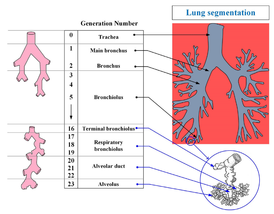 Computation 11 00136 g002