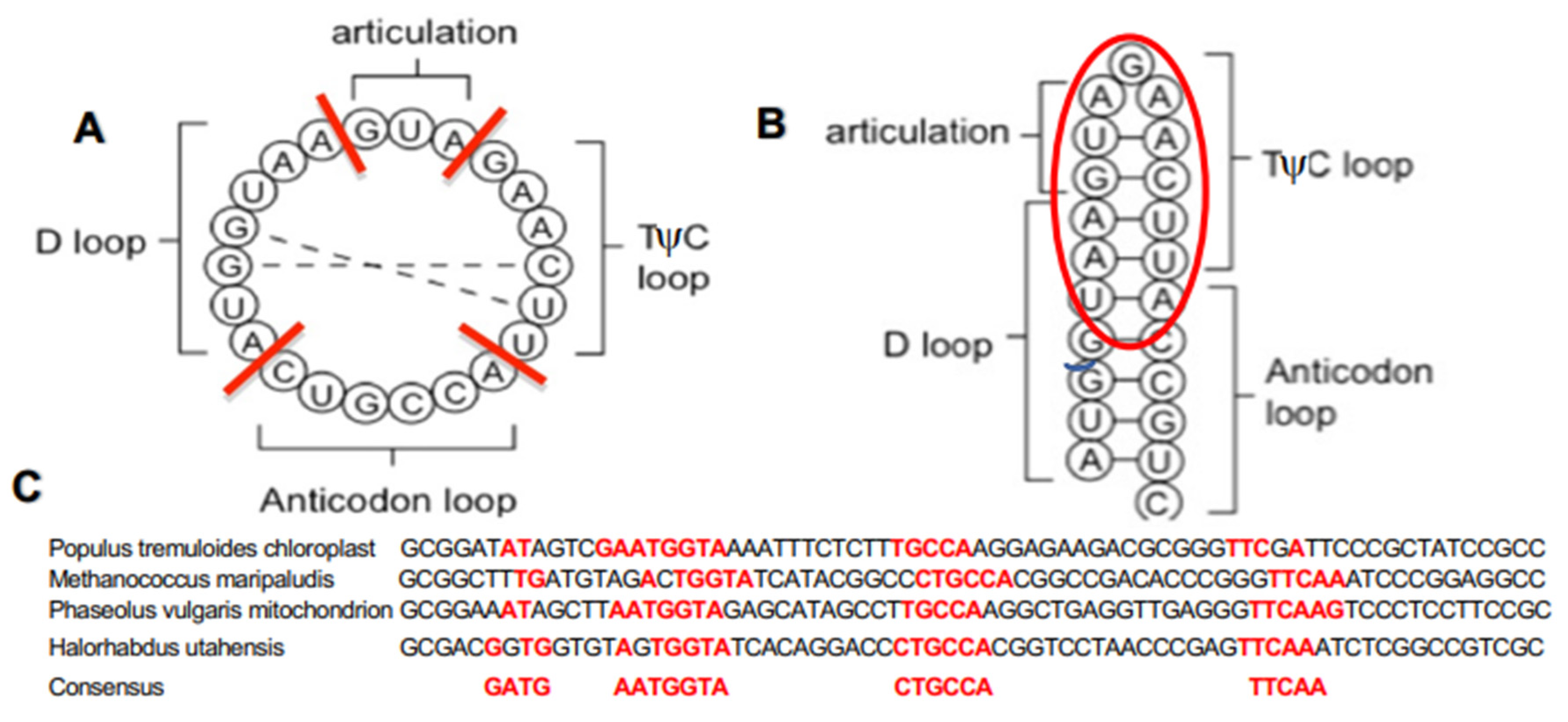 Computation 11 00158 g001 Computation 11 00158 g001
