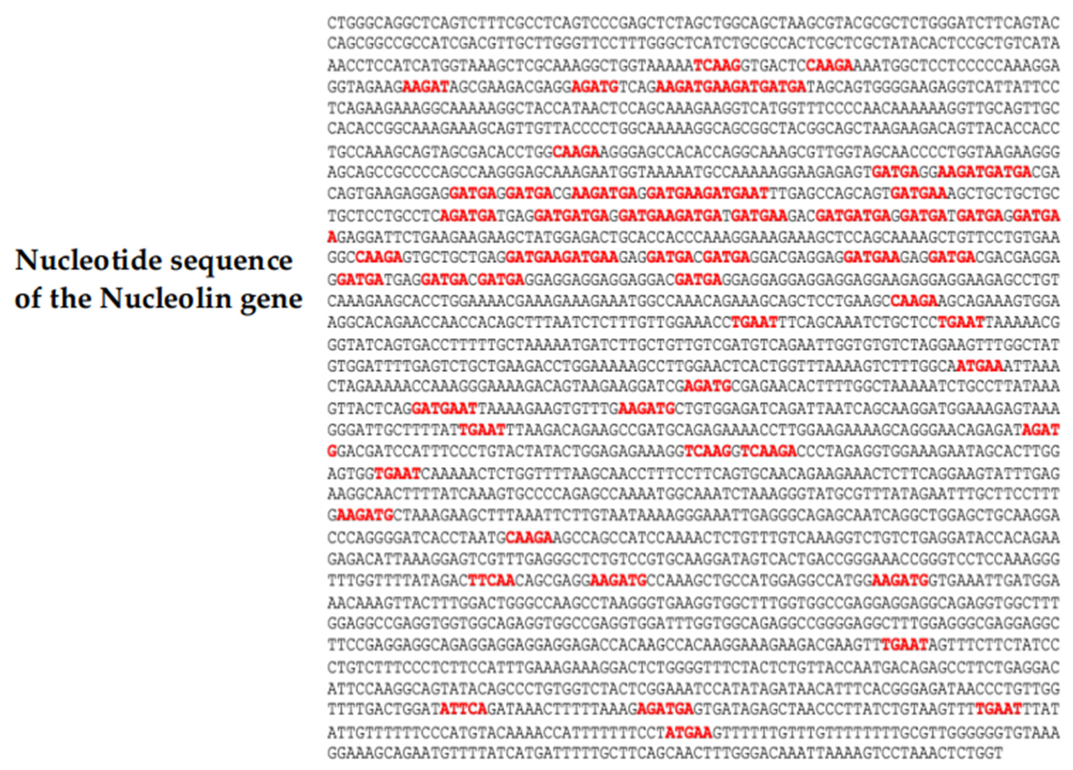 Computation 11 00158 g002 Computation 11 00158 g002