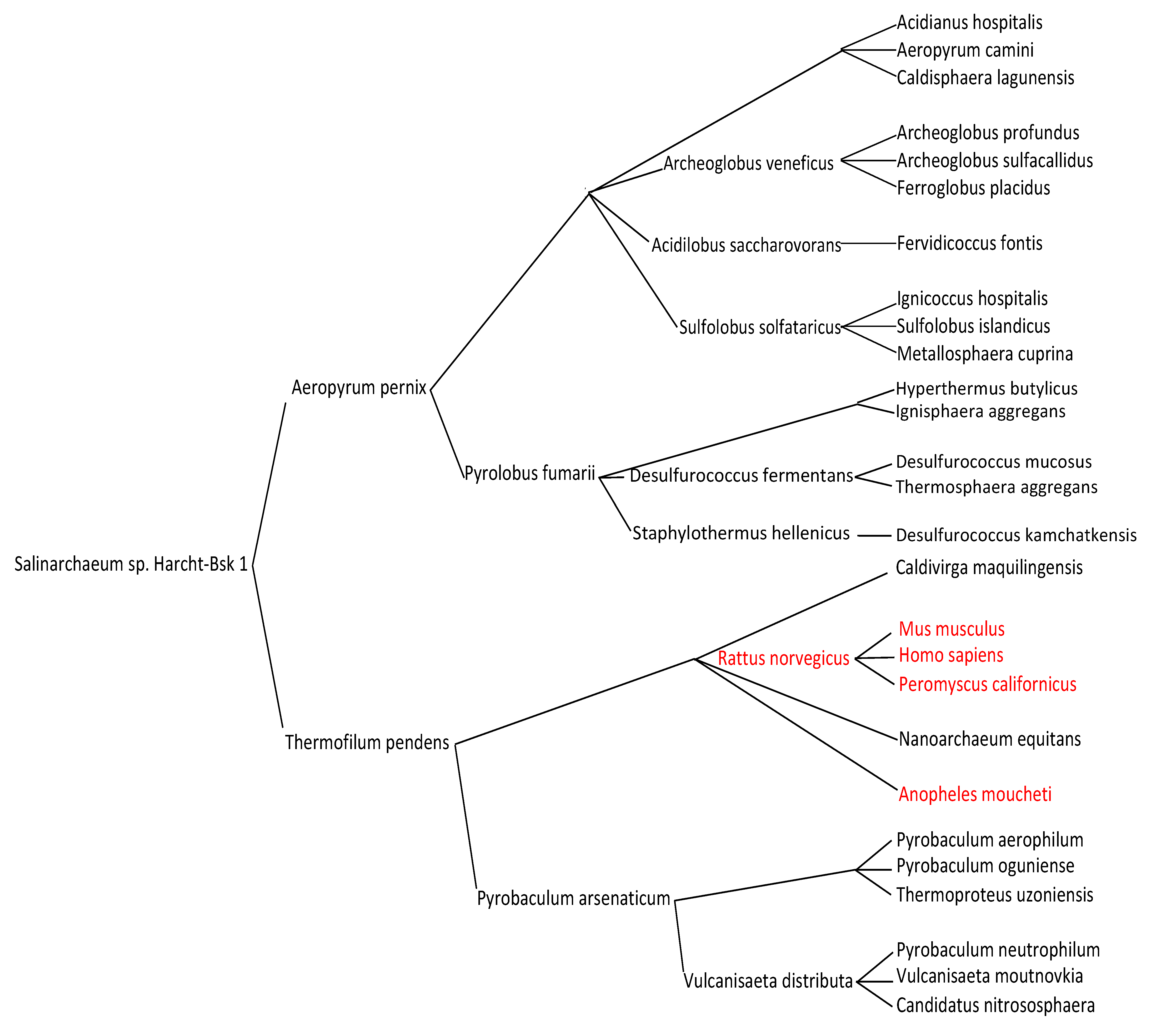 Computation 11 00158 g004 Computation 11 00158 g004