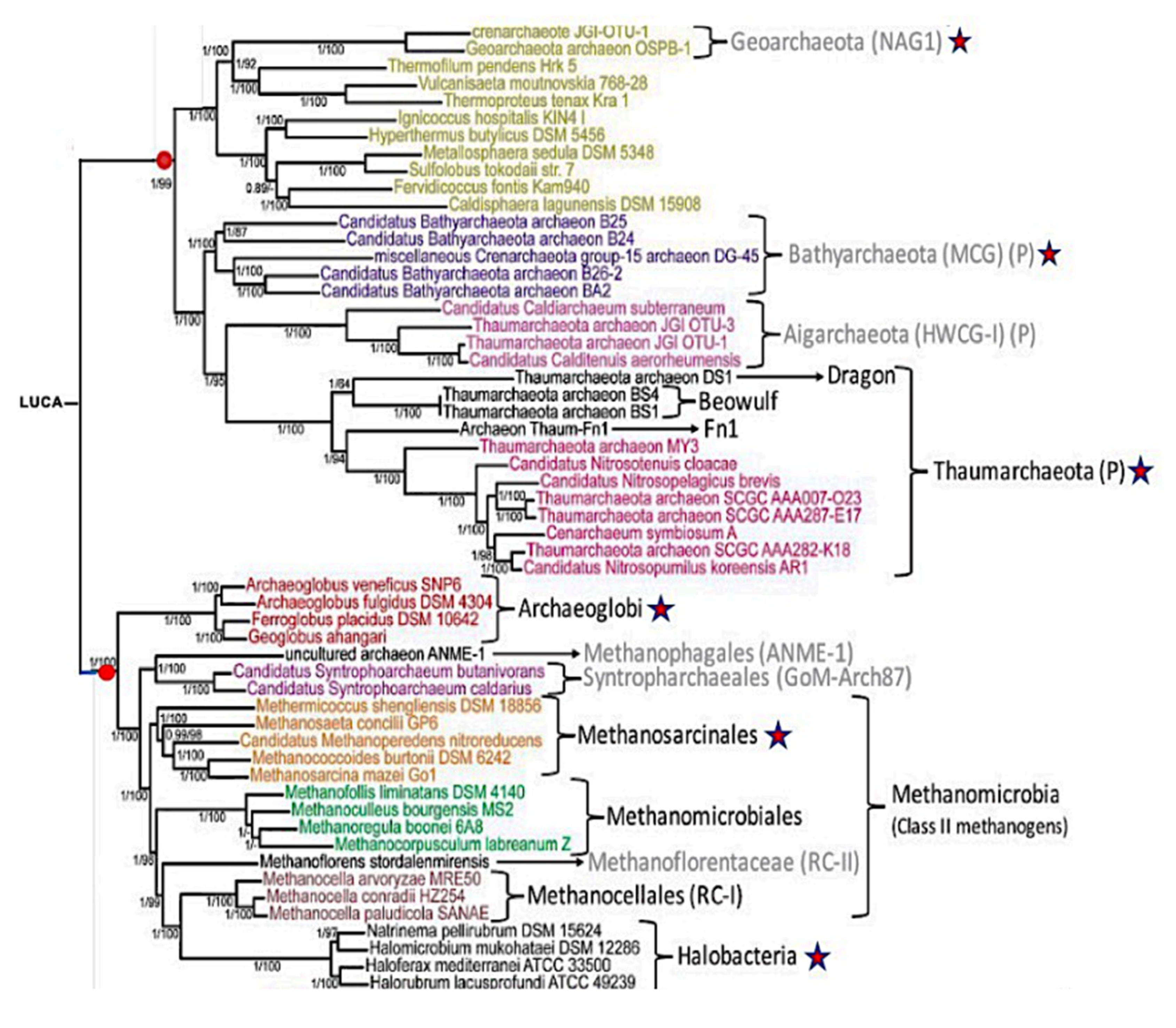 Computation 11 00158 g005 Computation 11 00158 g005
