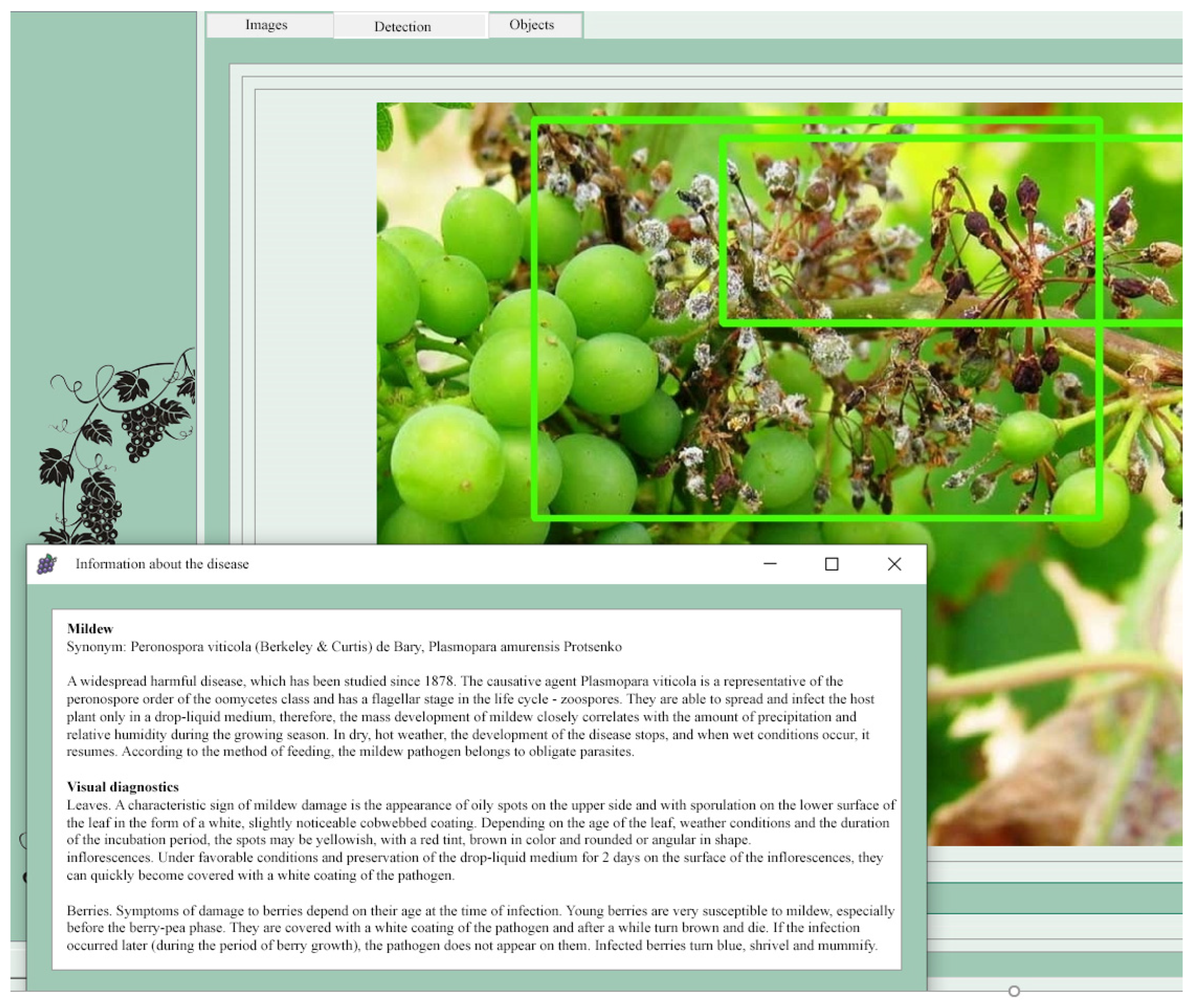 Computation 11 00171 g015