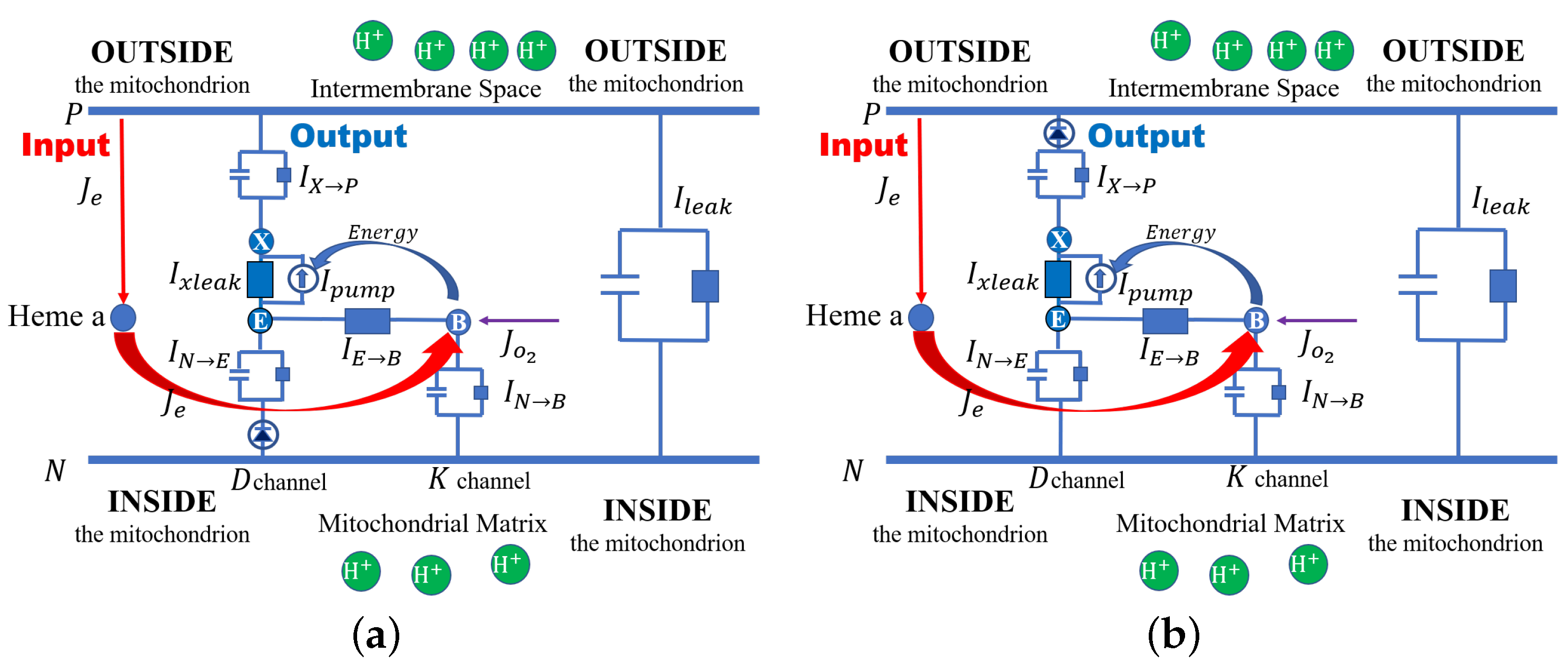Computation 11 00253 g001