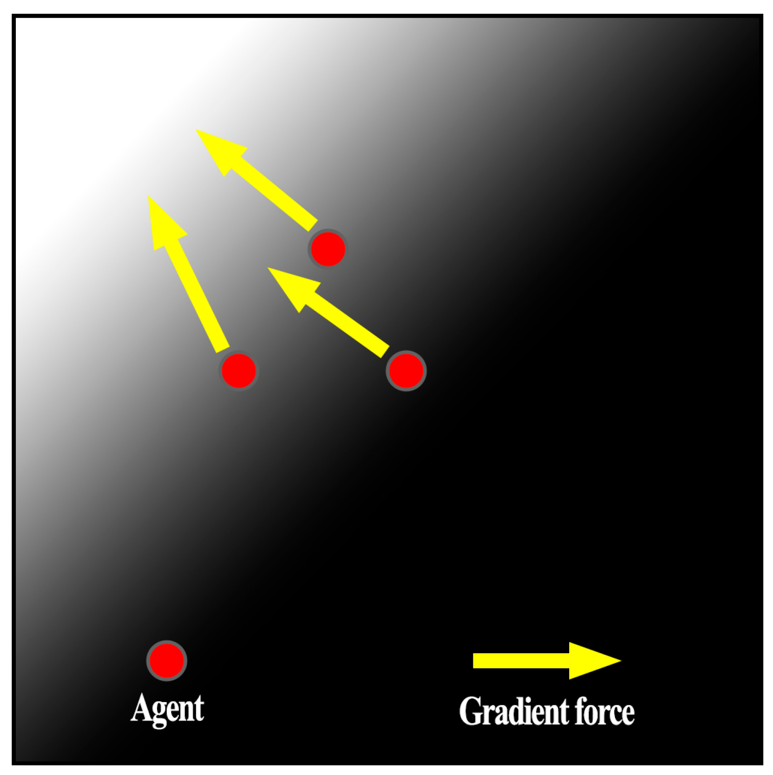 Computation 11 00254 g002