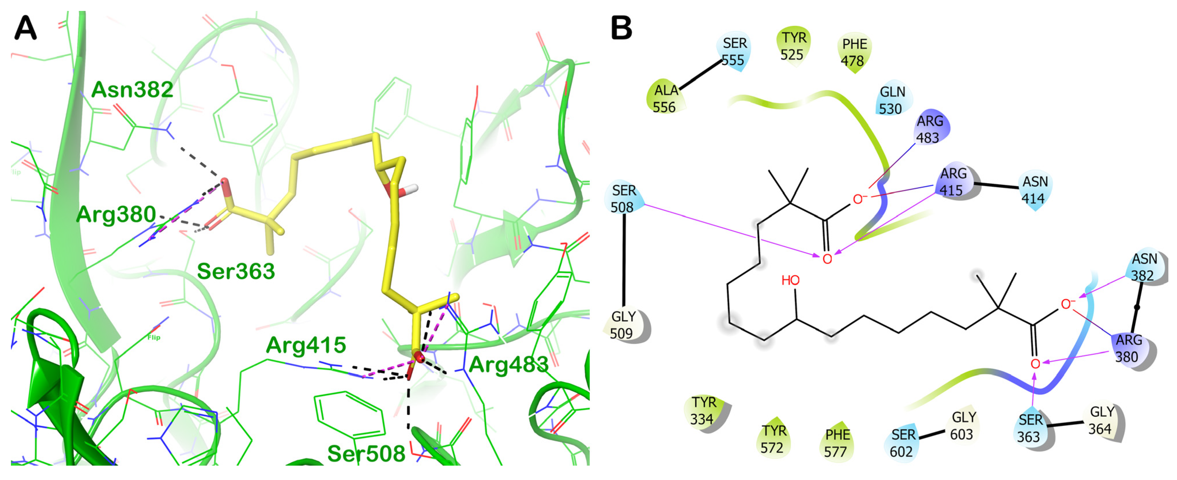 Computation 11 00255 g014