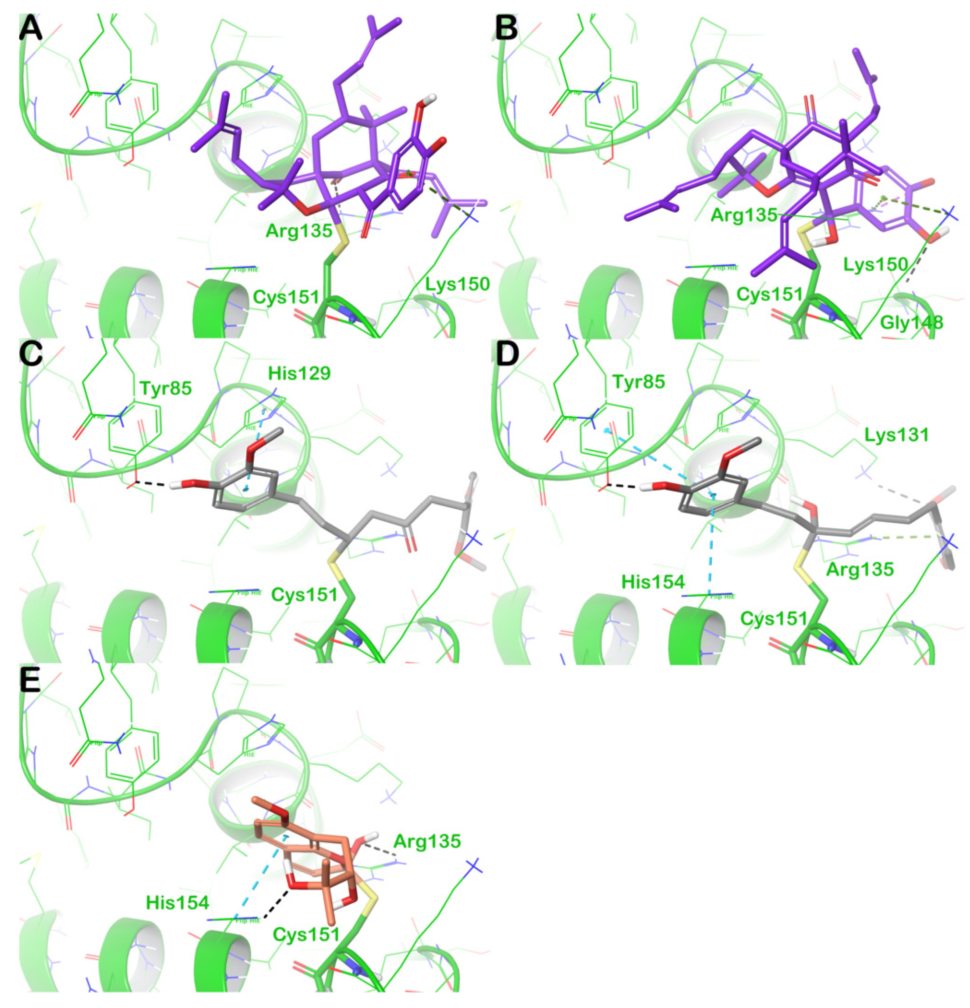 Computation 11 00255 g016